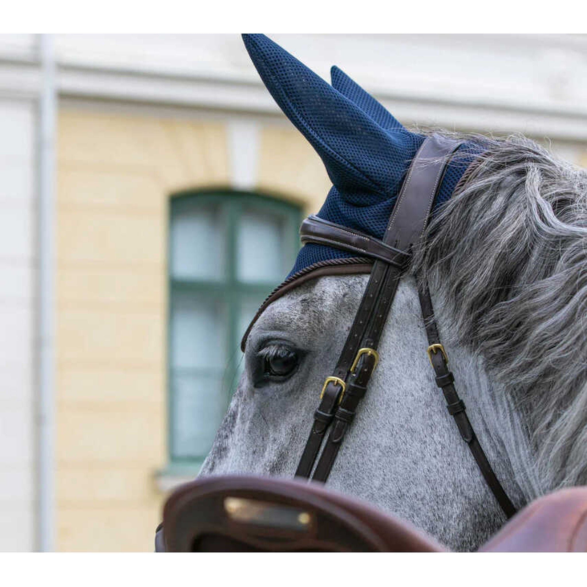 Back on Track® Airflow Fly veil Blue b24105003