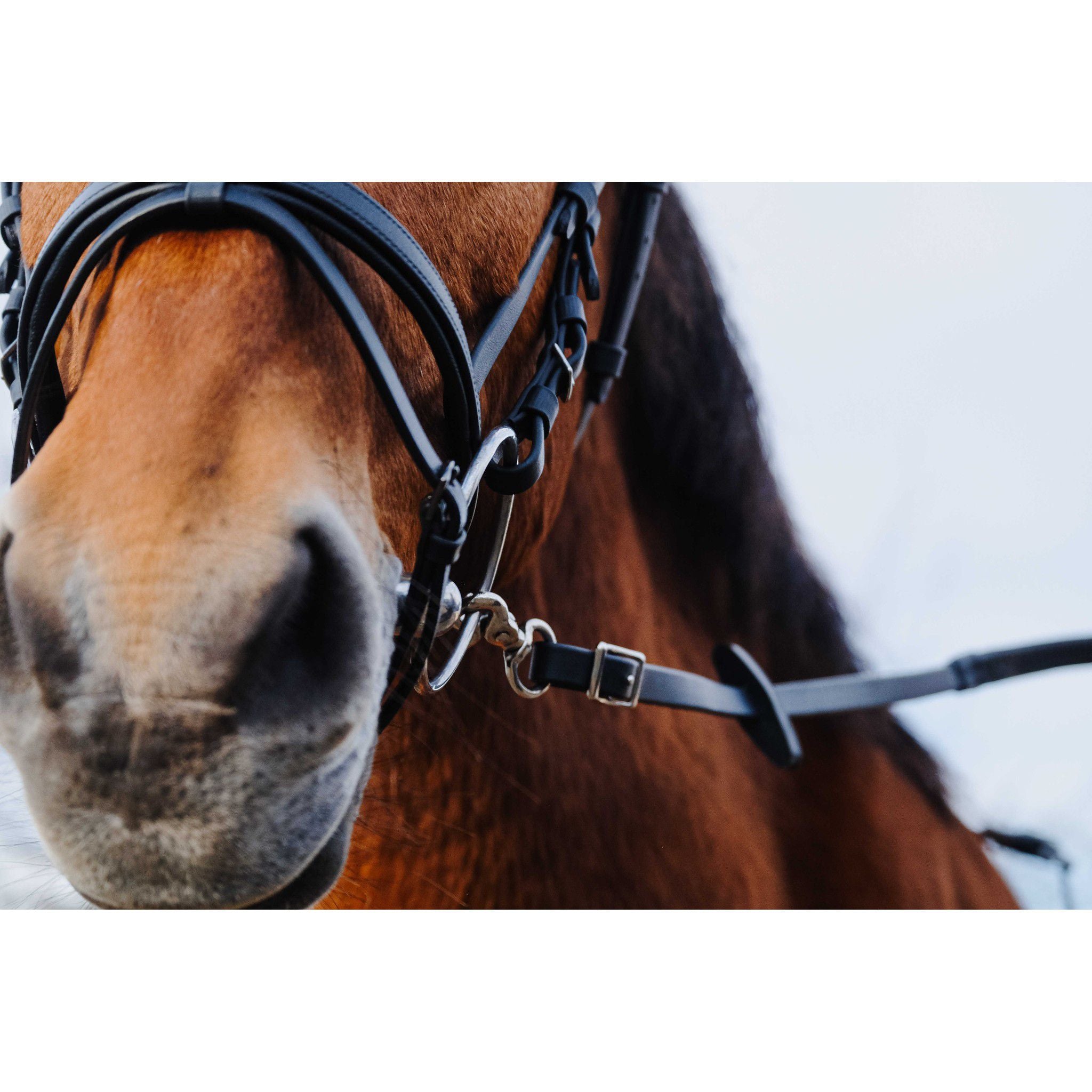 Norton PVC rubber reins Black 305042302