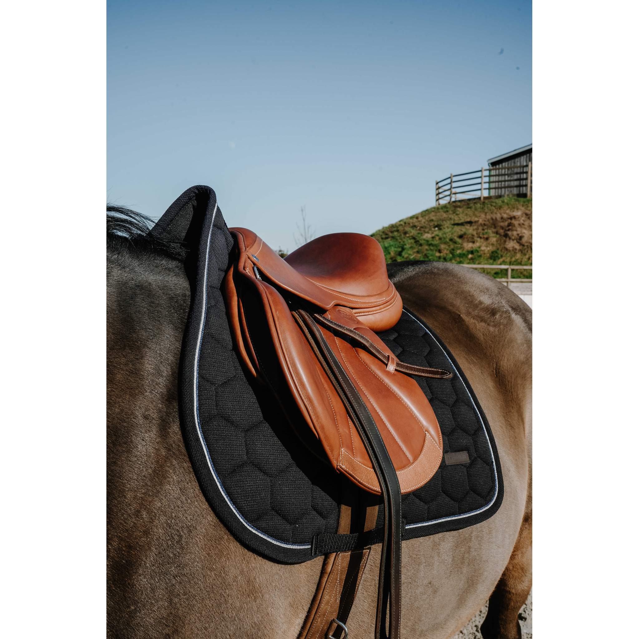 EQUITHÈME All-Purpose Saddle Pad - Honey Black - 204028002_ambi_2