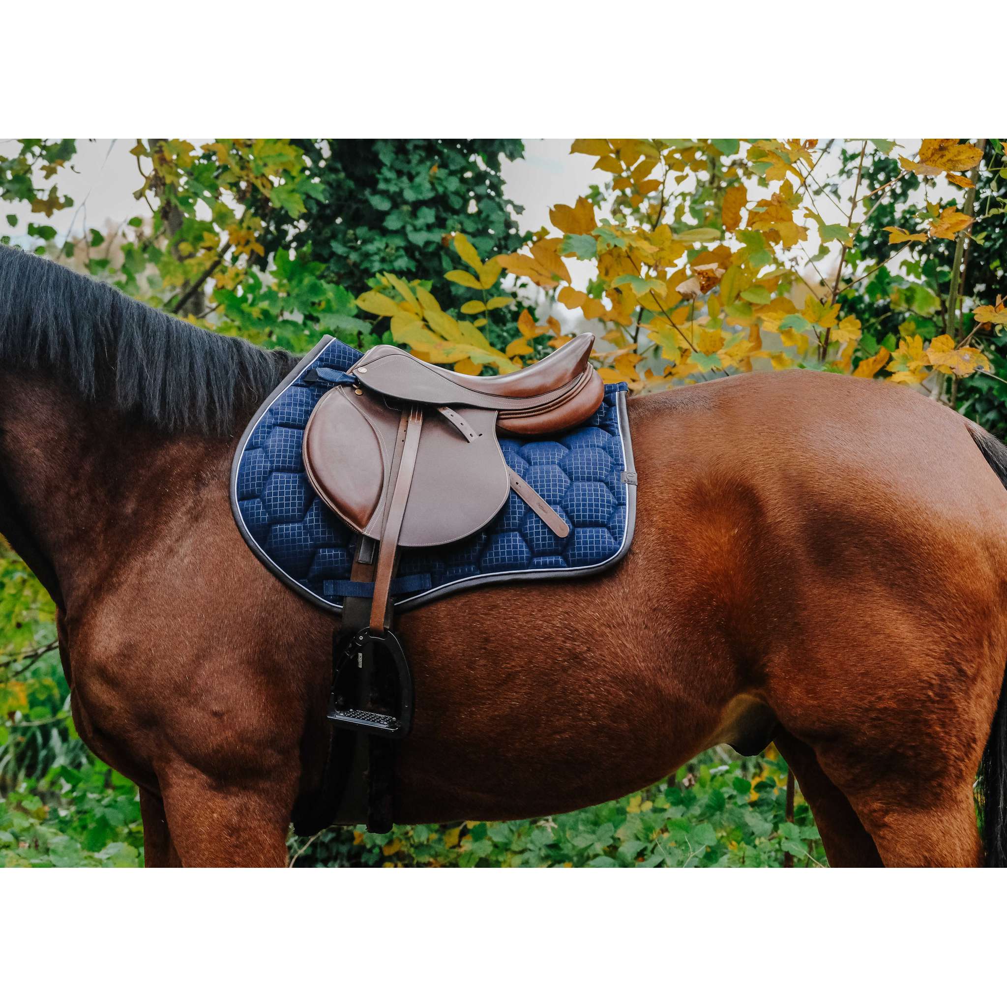 EQUITHÈME Quadri All-Purpose Saddle Pad Navy blue - 204779007_ambi_2