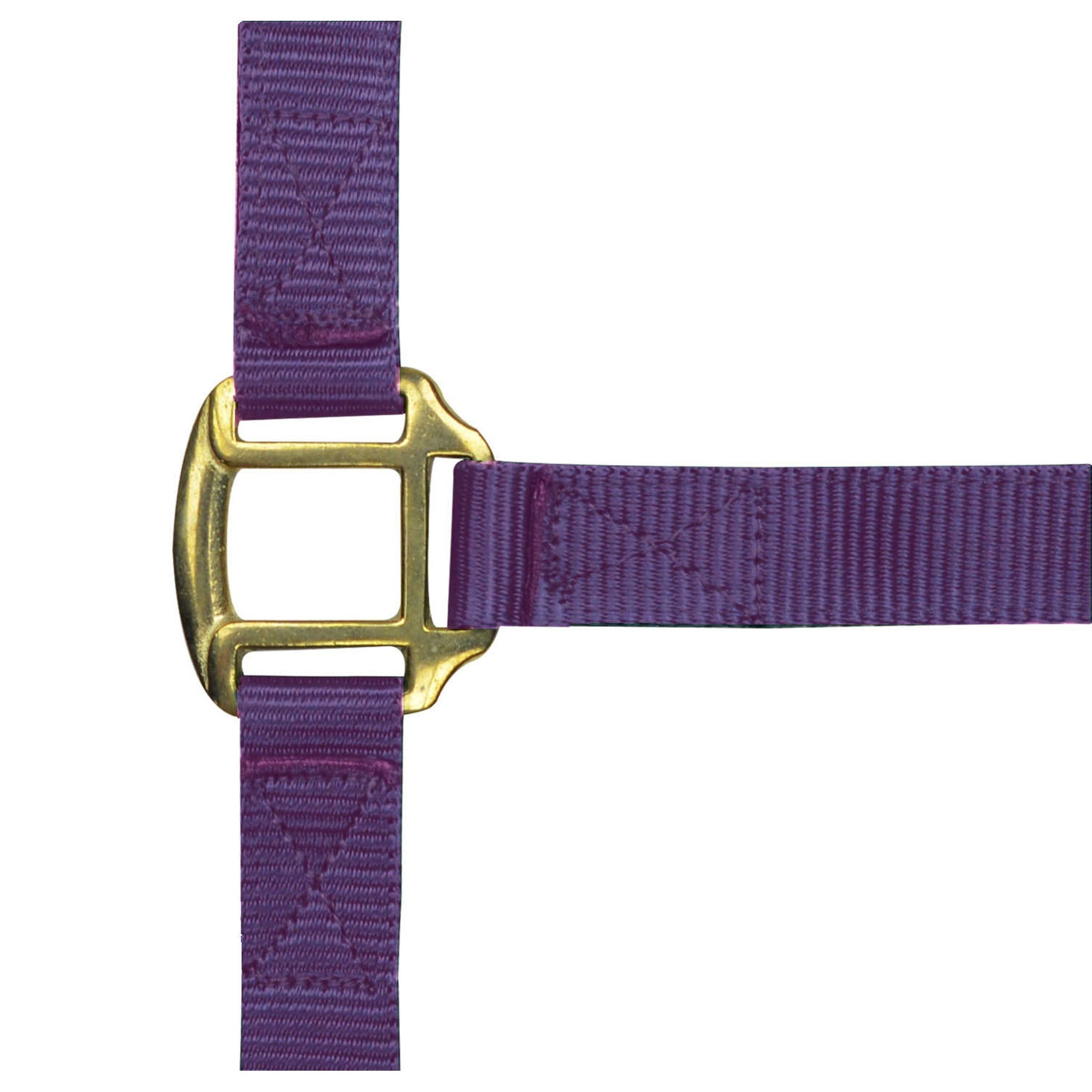 Norton Leather lined nylon headcollar Purple 510185015