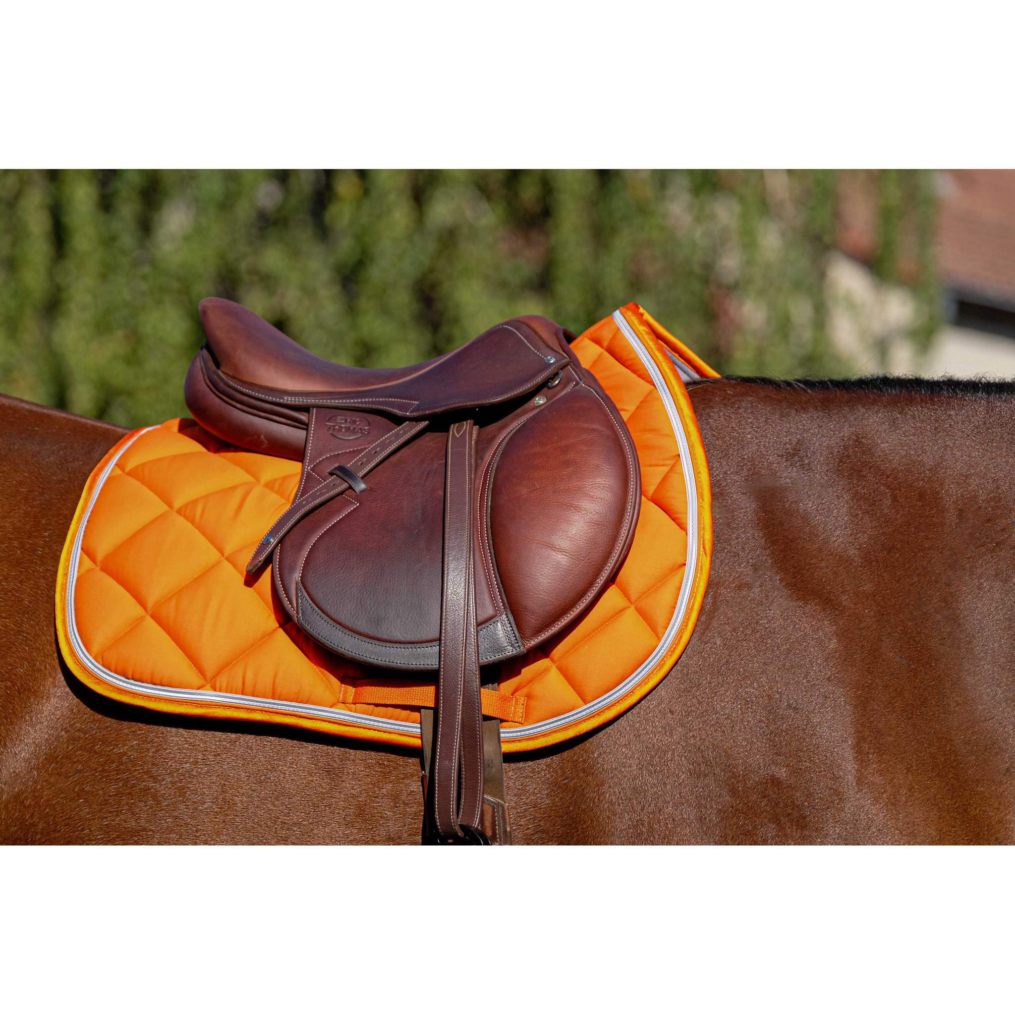 EQUITHÈME Classic Saddle pad - All purpose Orange 204773022