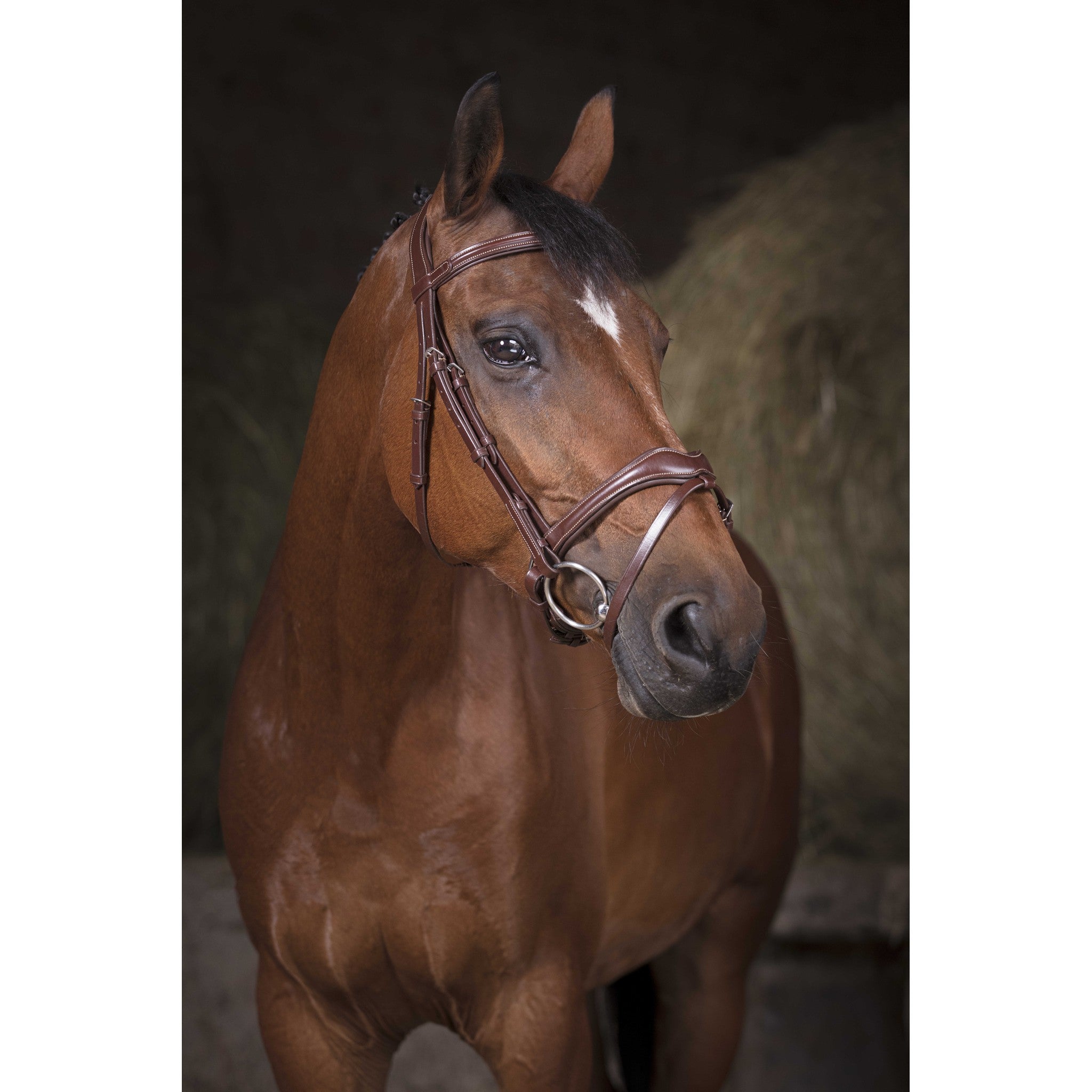 Norton Pro Bridle Wave Havana 301832318