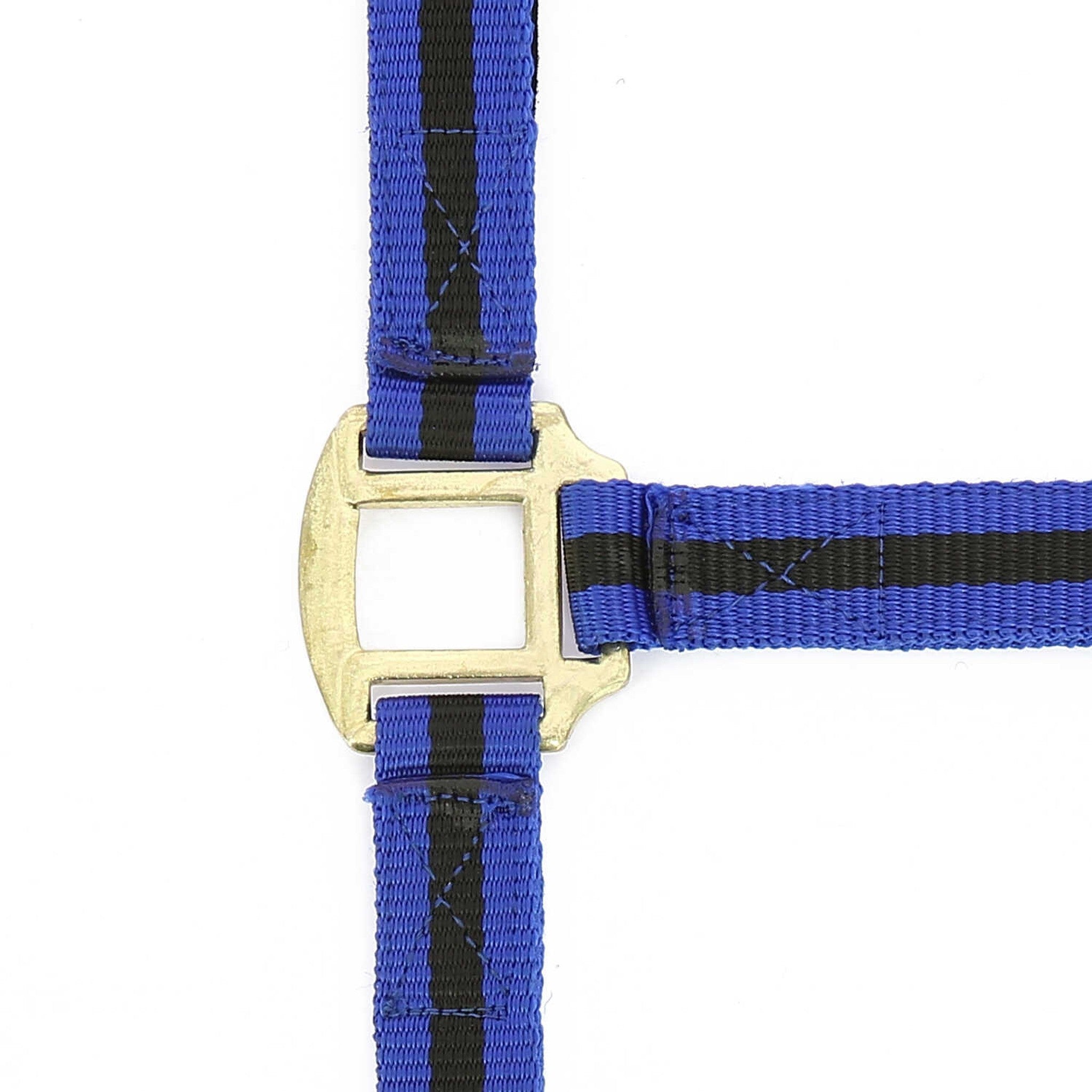 Norton Leather lined nylon headcollar Blue/black 510190626