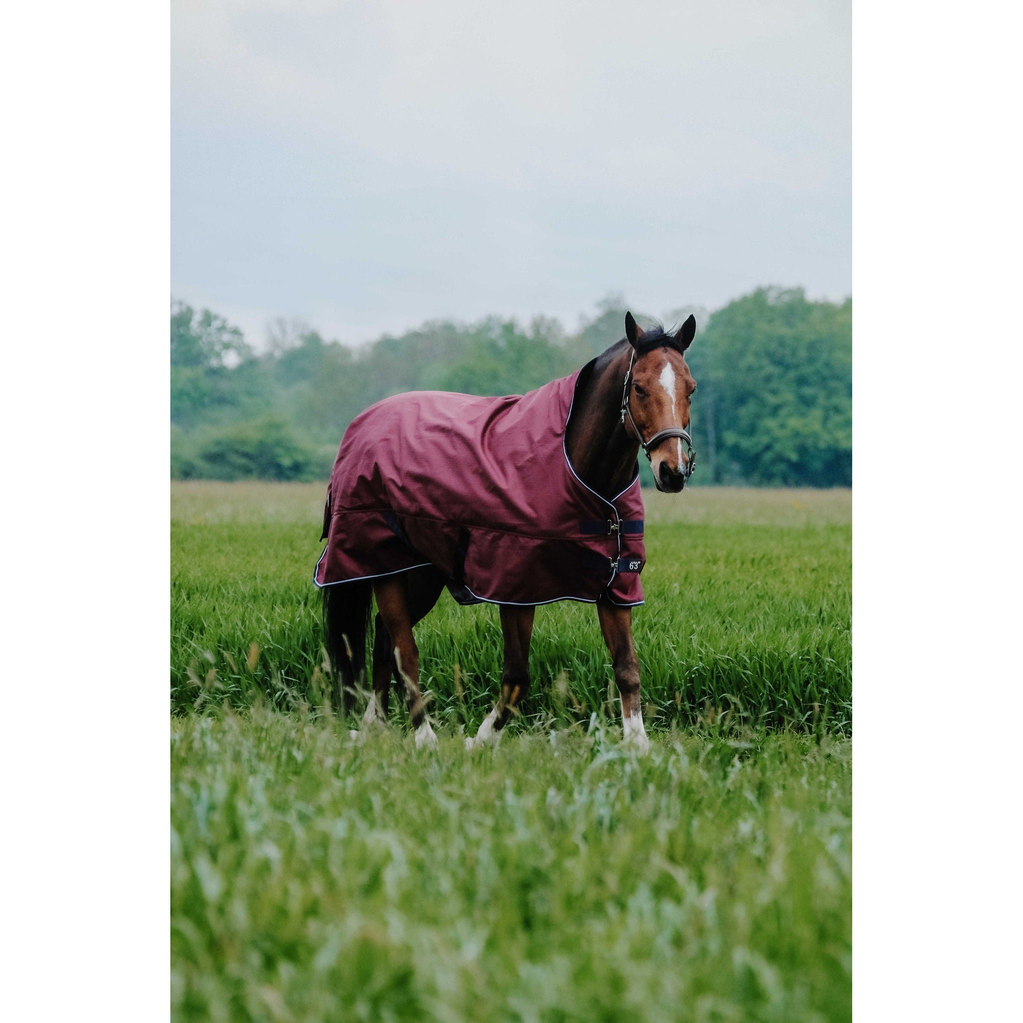 EQUITHÈME Tyrex 1200D Turnout sheet Reflec - High Neck Burgundy 400931363