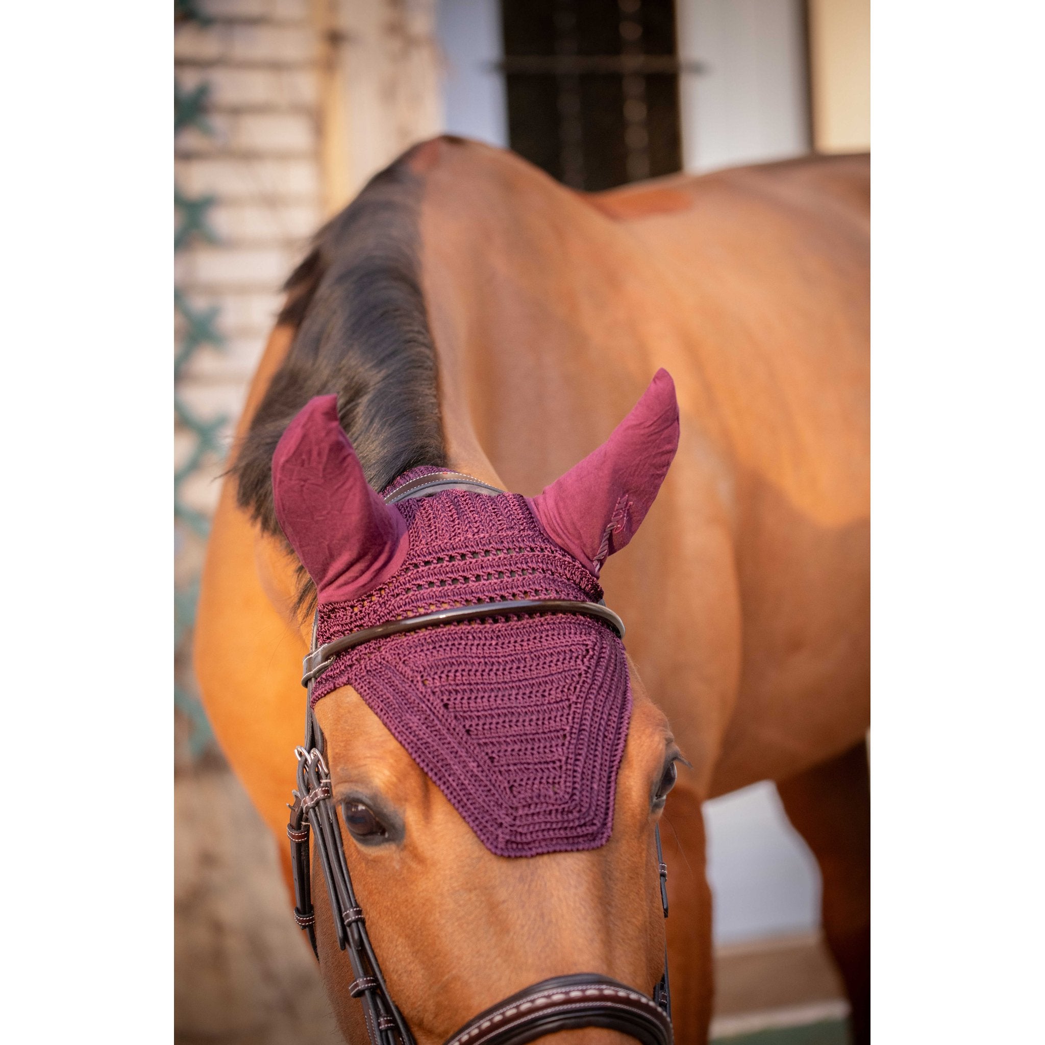 Paddock Sports Prem's Fly Veil Plum - 306969334_ambi_6