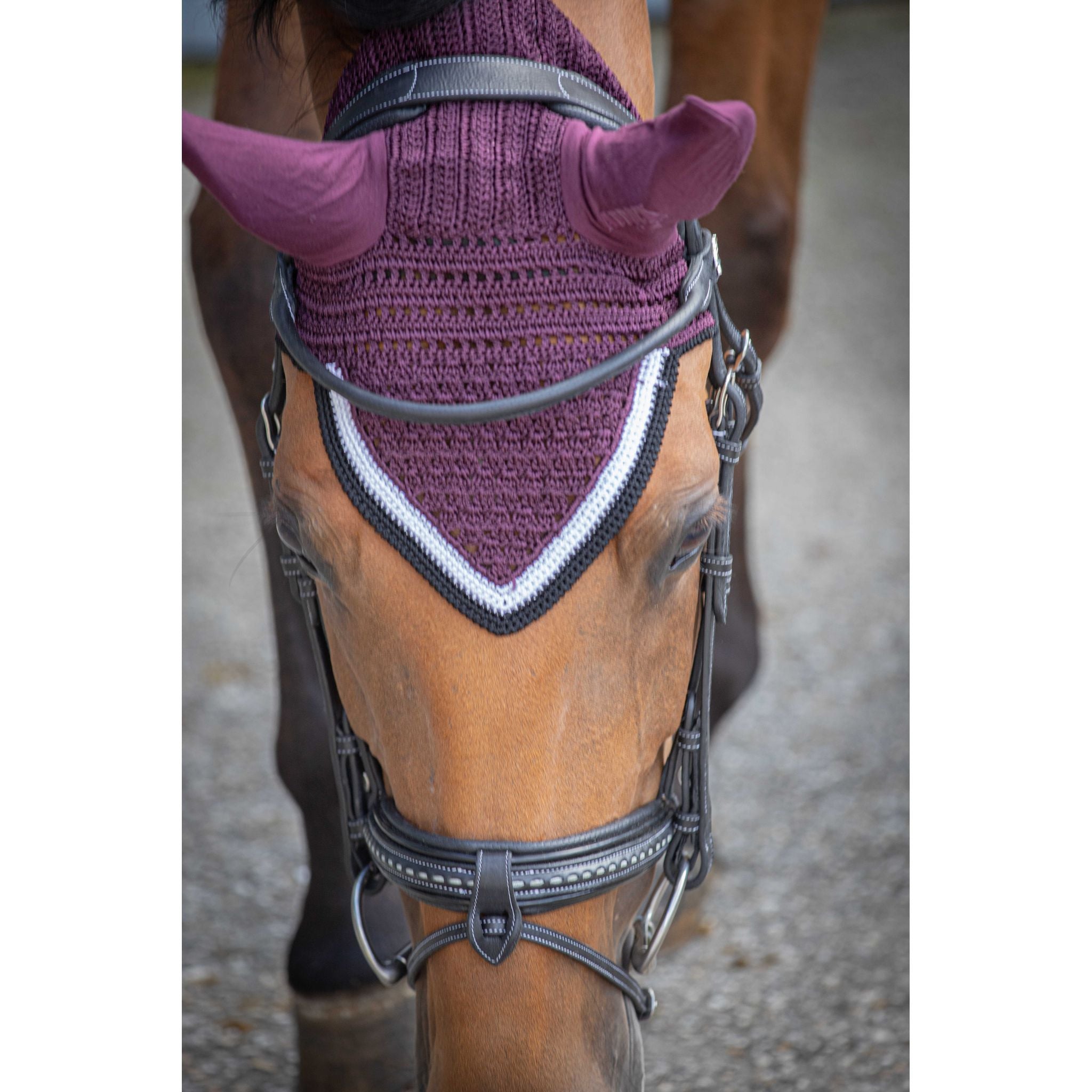 Paddock Sports Origine Fly Veil Plum - 306988034_ambi_2