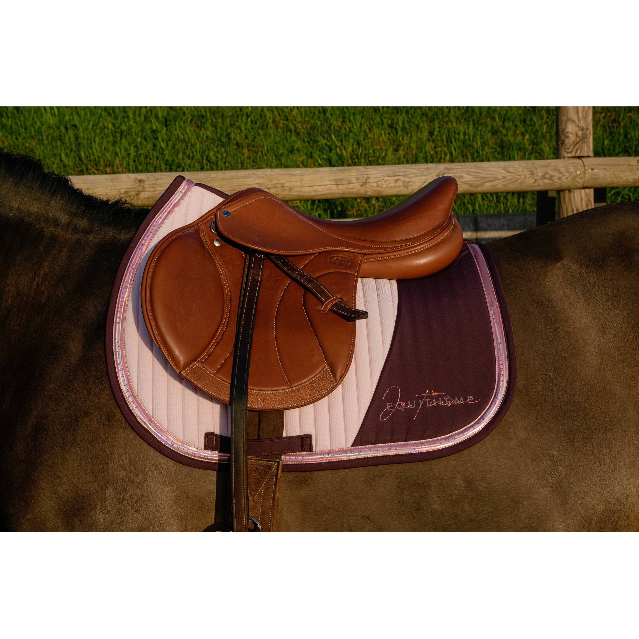 EQUITHÈME Talent All-Purpose Saddle Pad Purple - 204511016_ambi_1