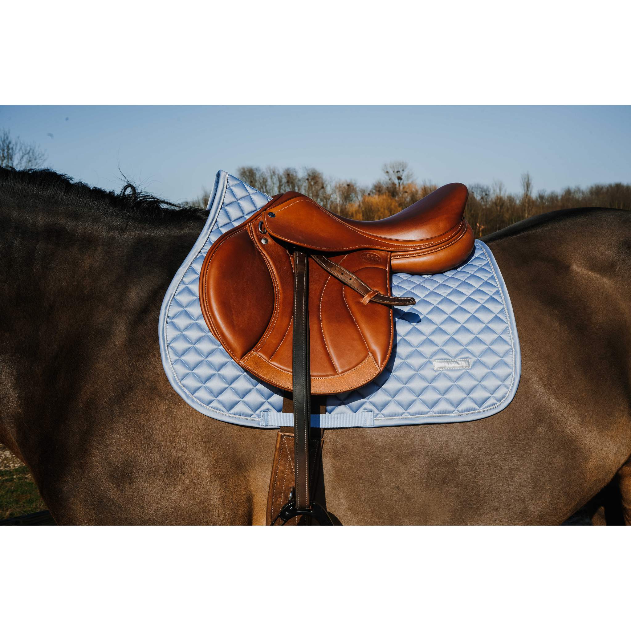 EQUITHÈME All-Purpose Saddle Pad - Mother of Pearl Blue - 204029006_ambi_1