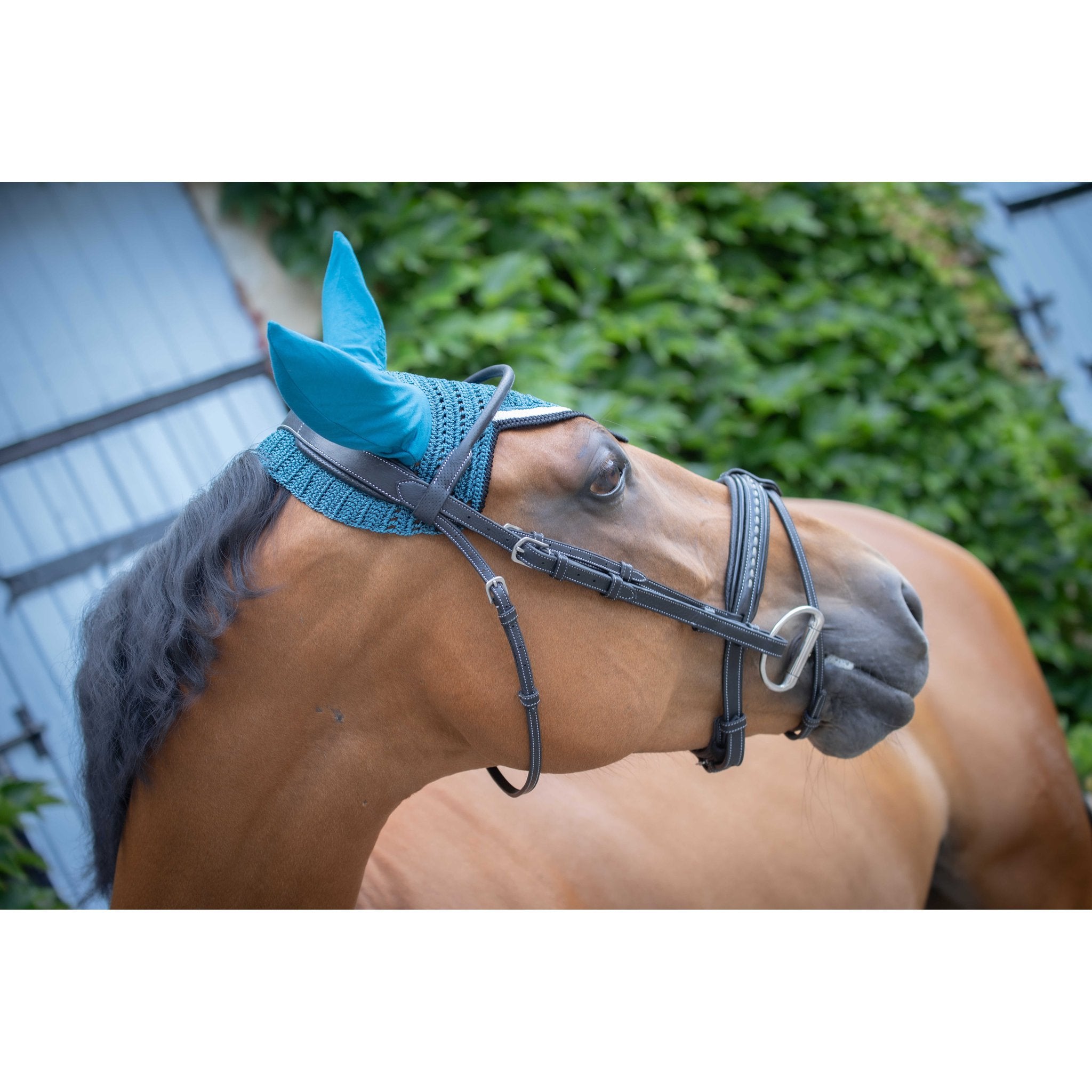 Paddock Sports Origine Fly Veil Peacock blue - 306988040_ambi_2