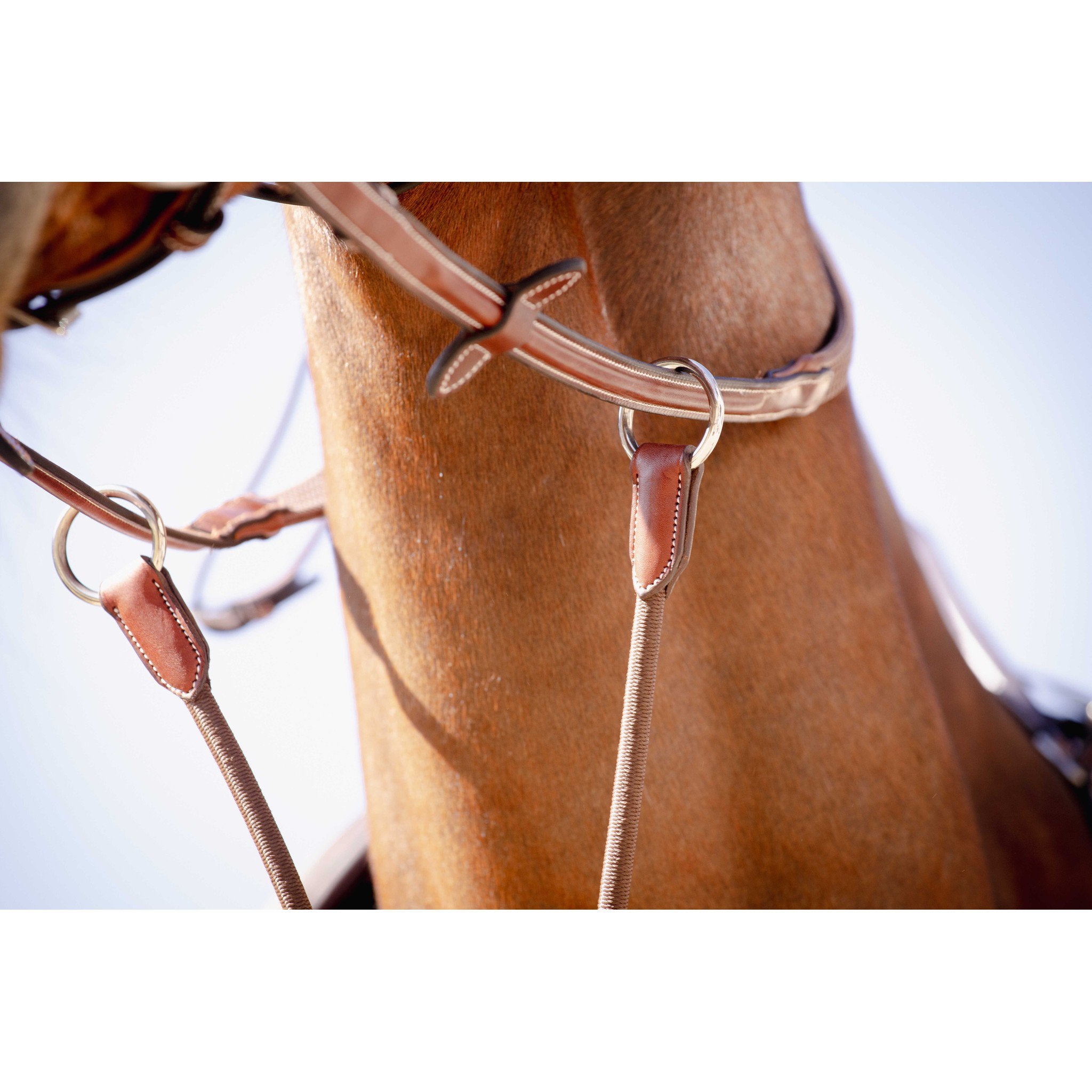 Pénélope Bip Light US Martingale Attachment Chestnut 306151004