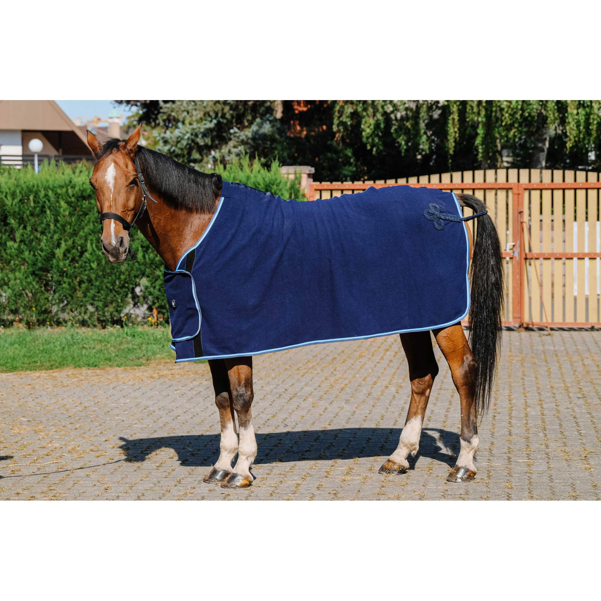 Riding World Show Sheet Navy blue 400702063
