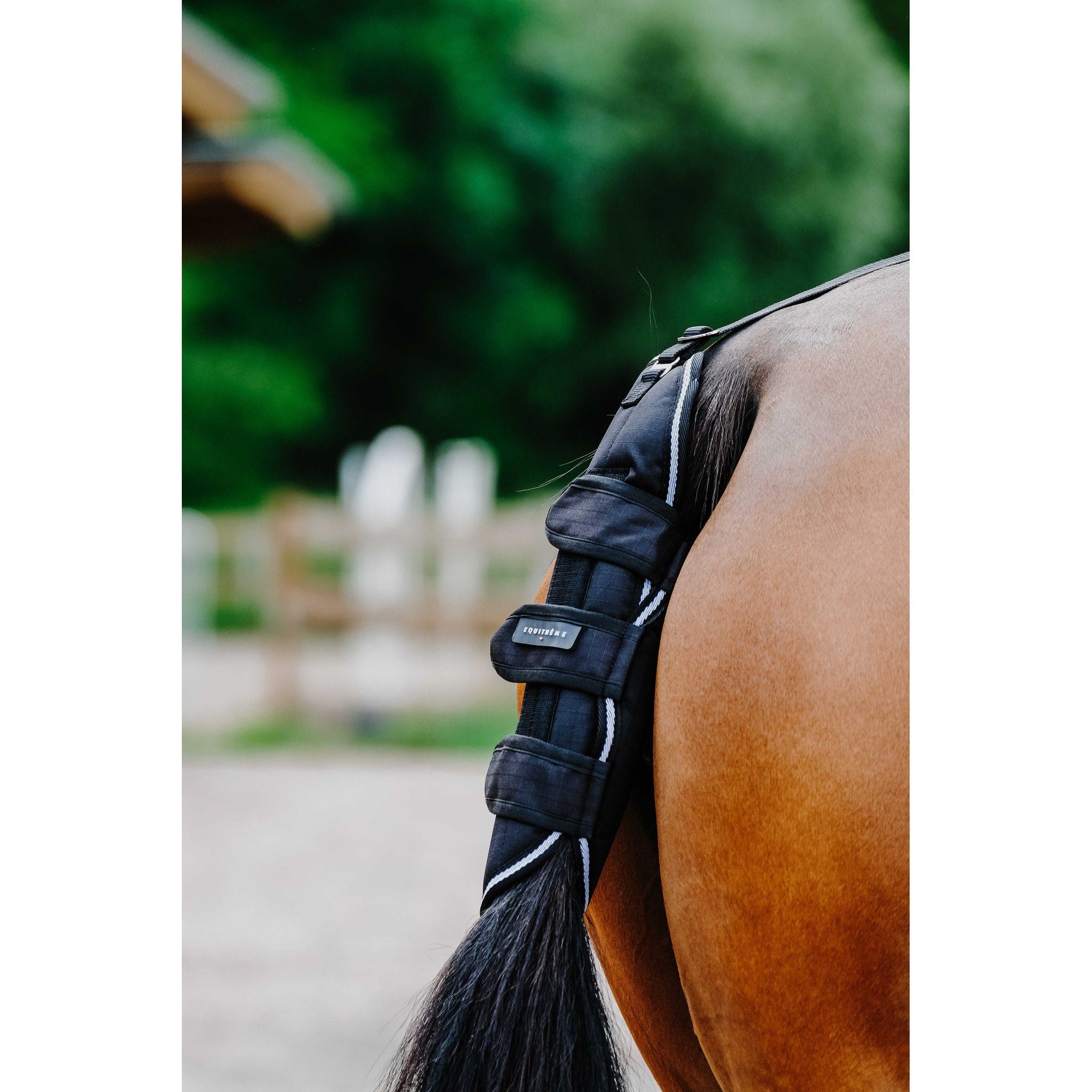 EQUITHÈME Tyrex 600D Tail guard Black 400556200