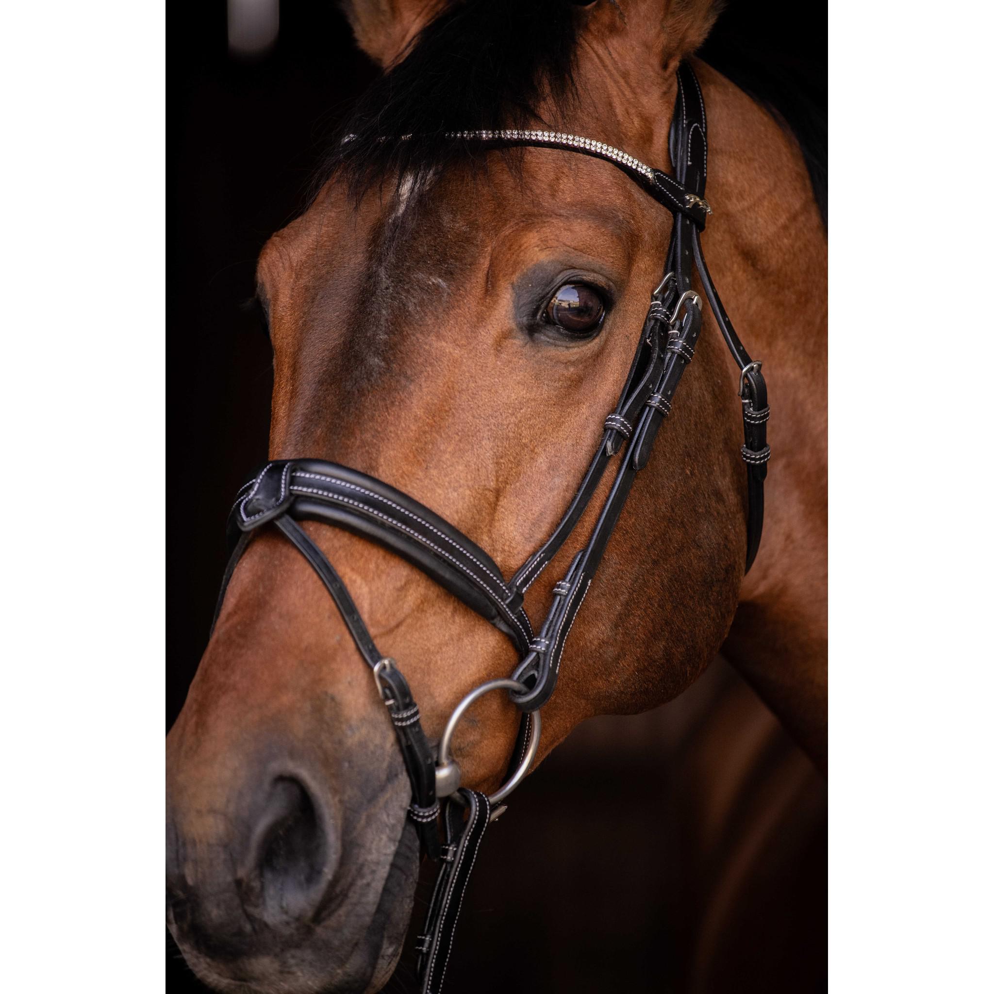 Pénélope Daily Strass Bridle Black 301613302