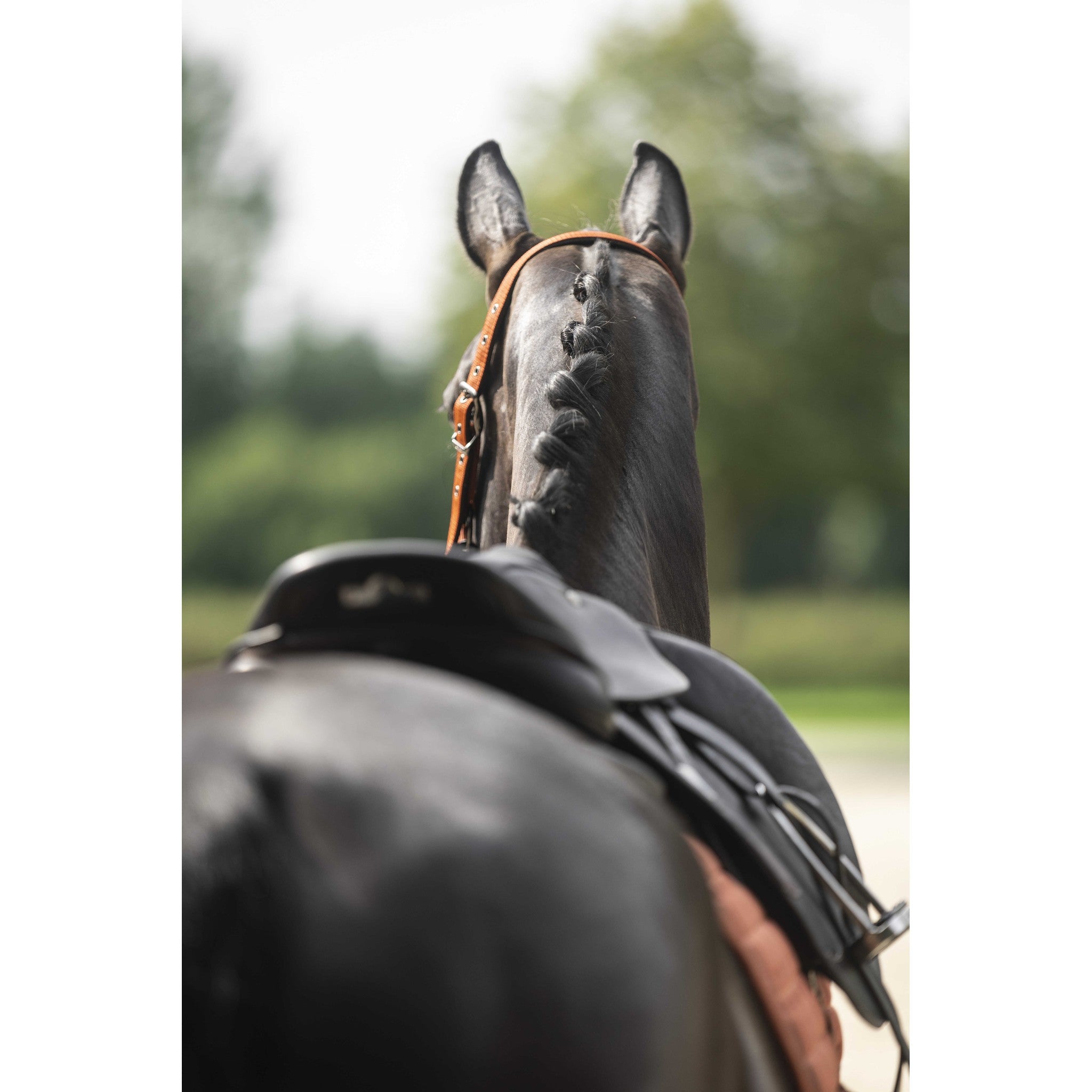 Lami-Cell Vintage saddle pad - All purpose Orange 220025022