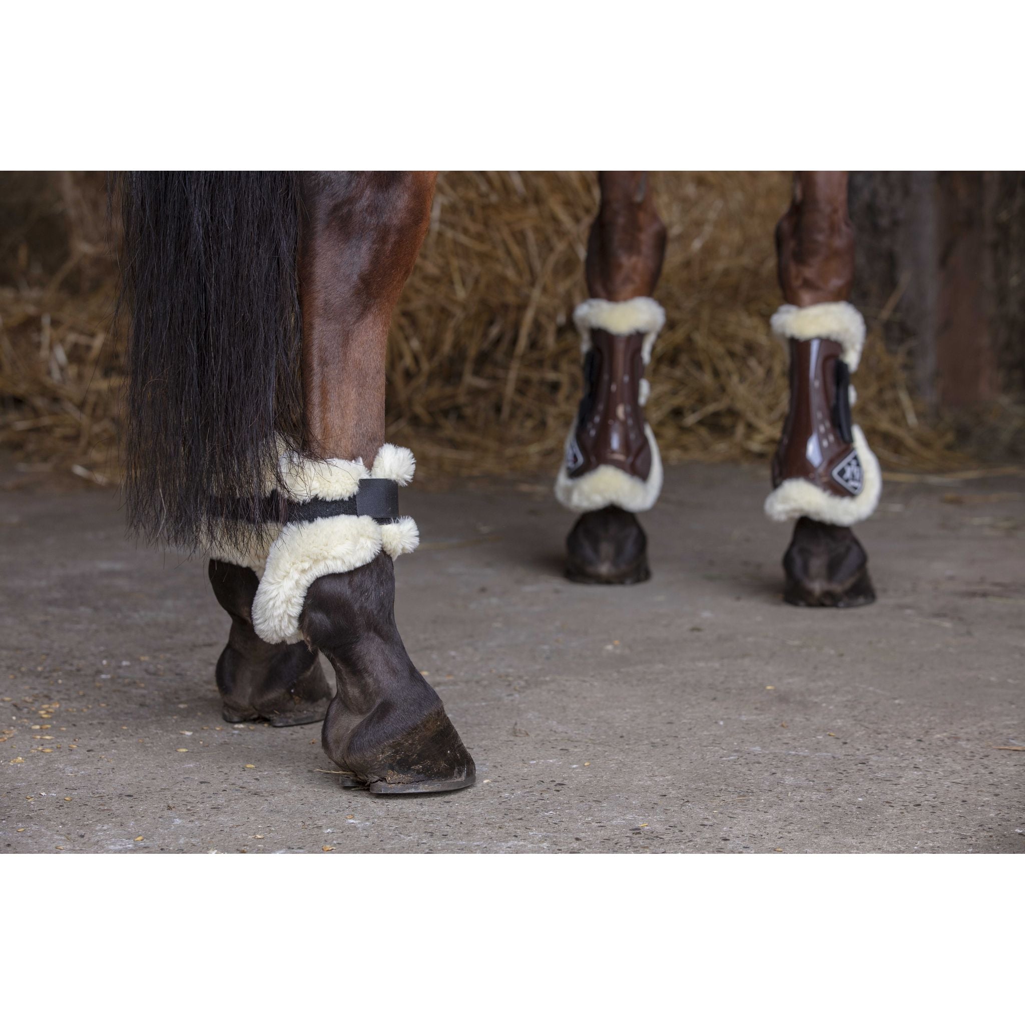 Norton XTR Sheepskin Fetlock Boots - Brown - 530671043_ambi_1