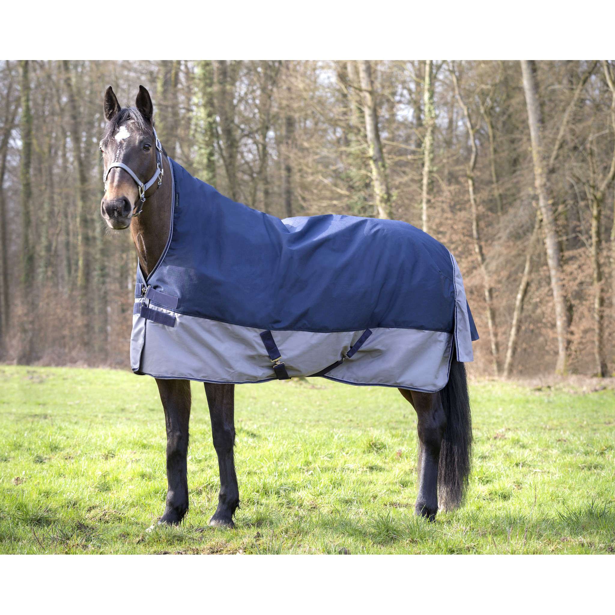 ÉQUITHÈME Tyrex 600D Turnout rug - High Neck Navy blue/grey 400916763