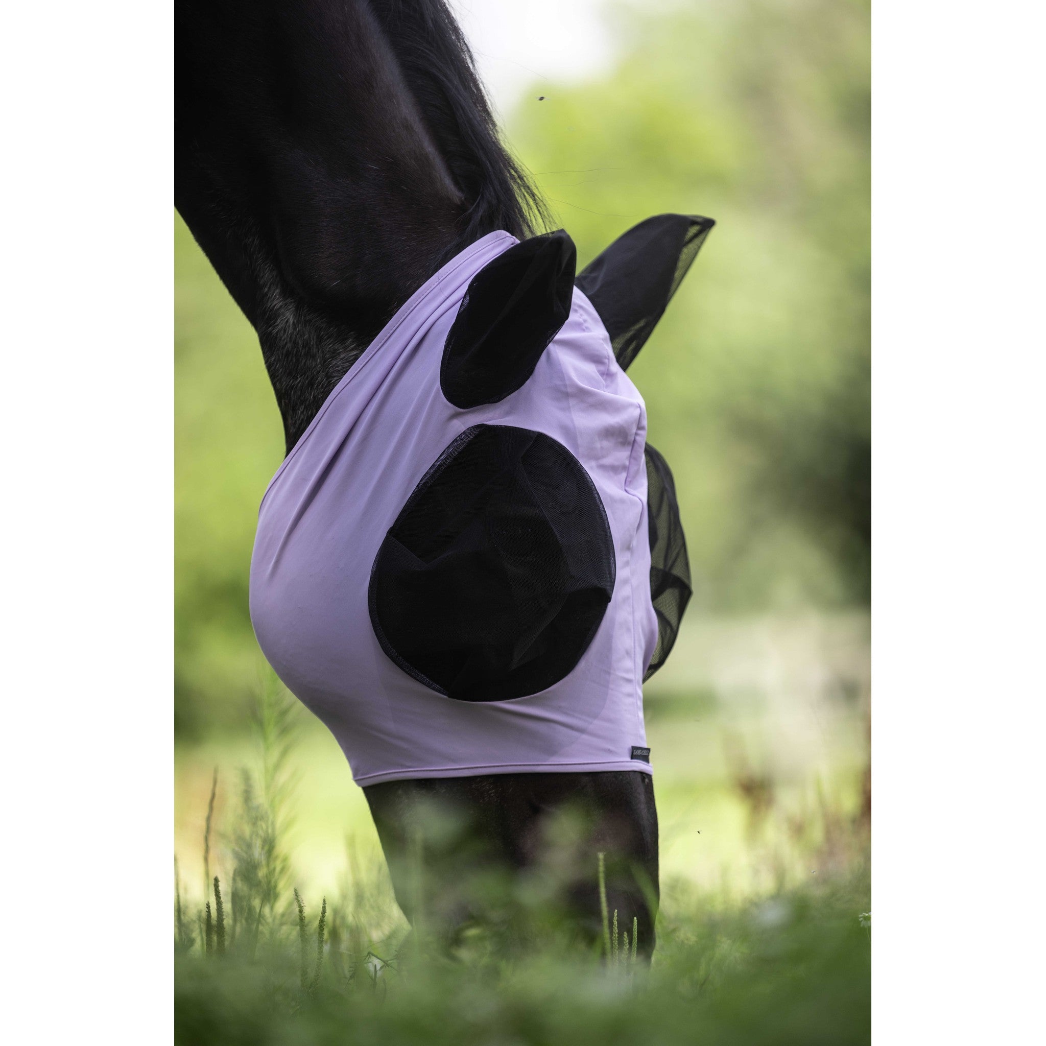 LAMI-CELL Lycra Fly Mask Lilac - 306046216_ambi_6