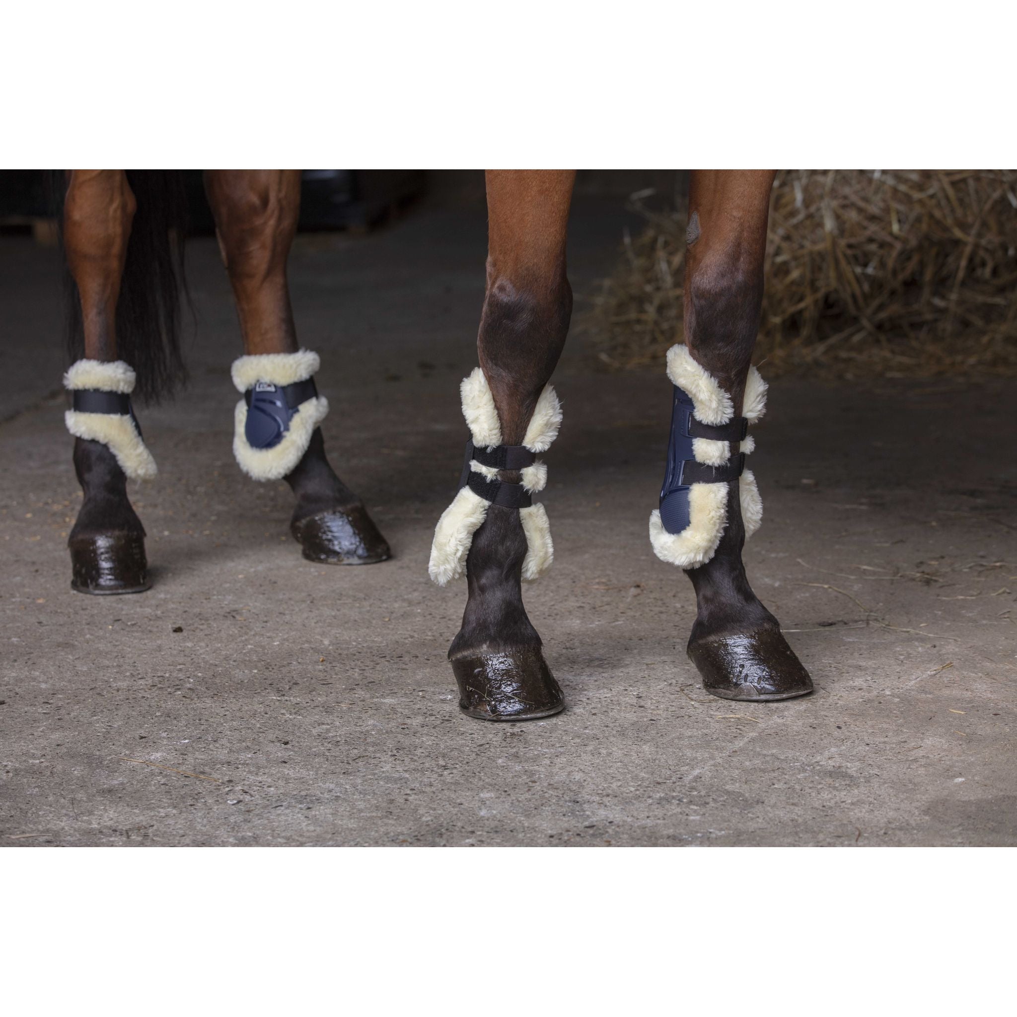 Norton XTR Sheepskin Fetlock Boots - Navy blue - 530671073_ambi_1