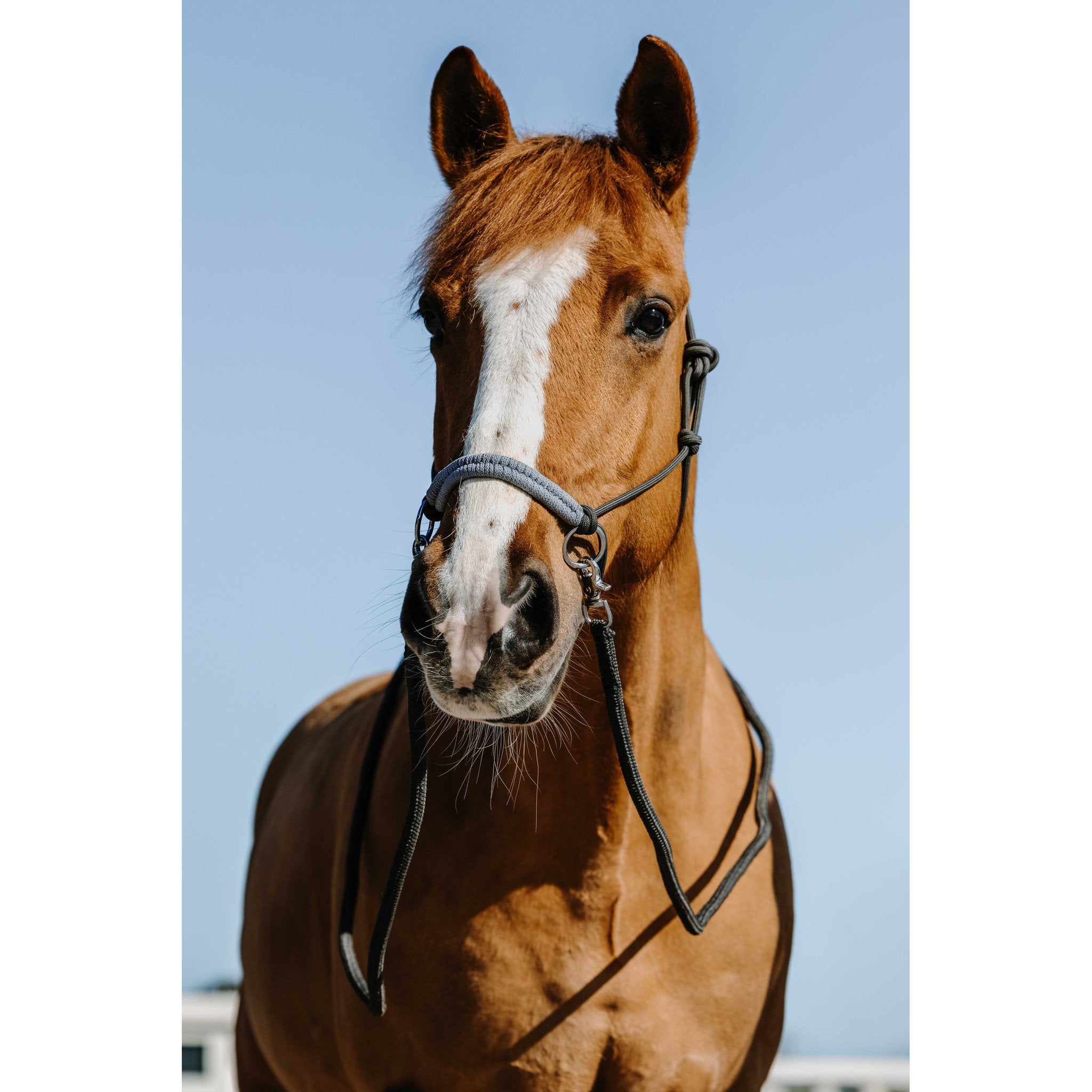 Norton Fancy Rope Halter and Reins Set Grey 510267311