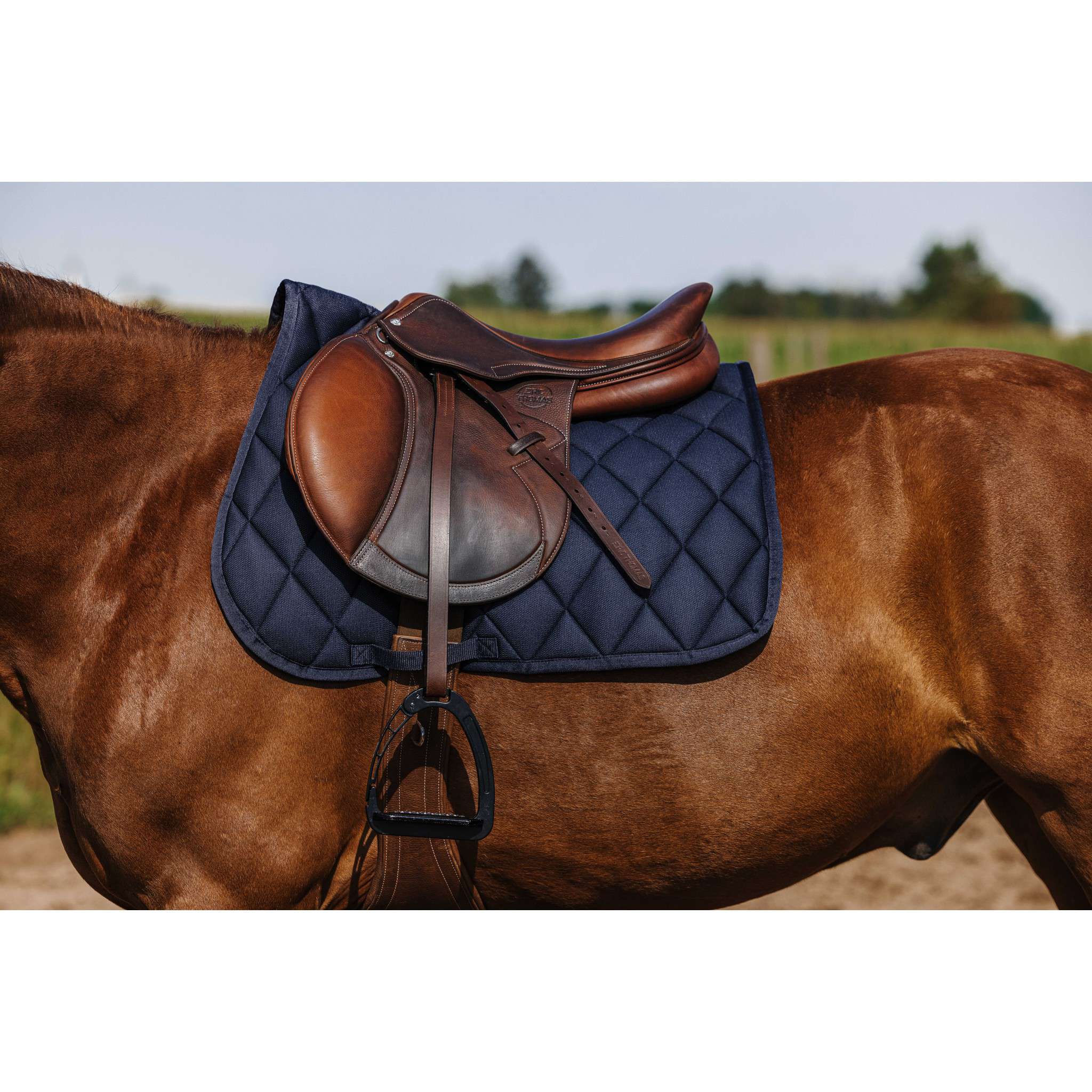 Riding World School Saddle Pad - All purpose Navy blue 204057007