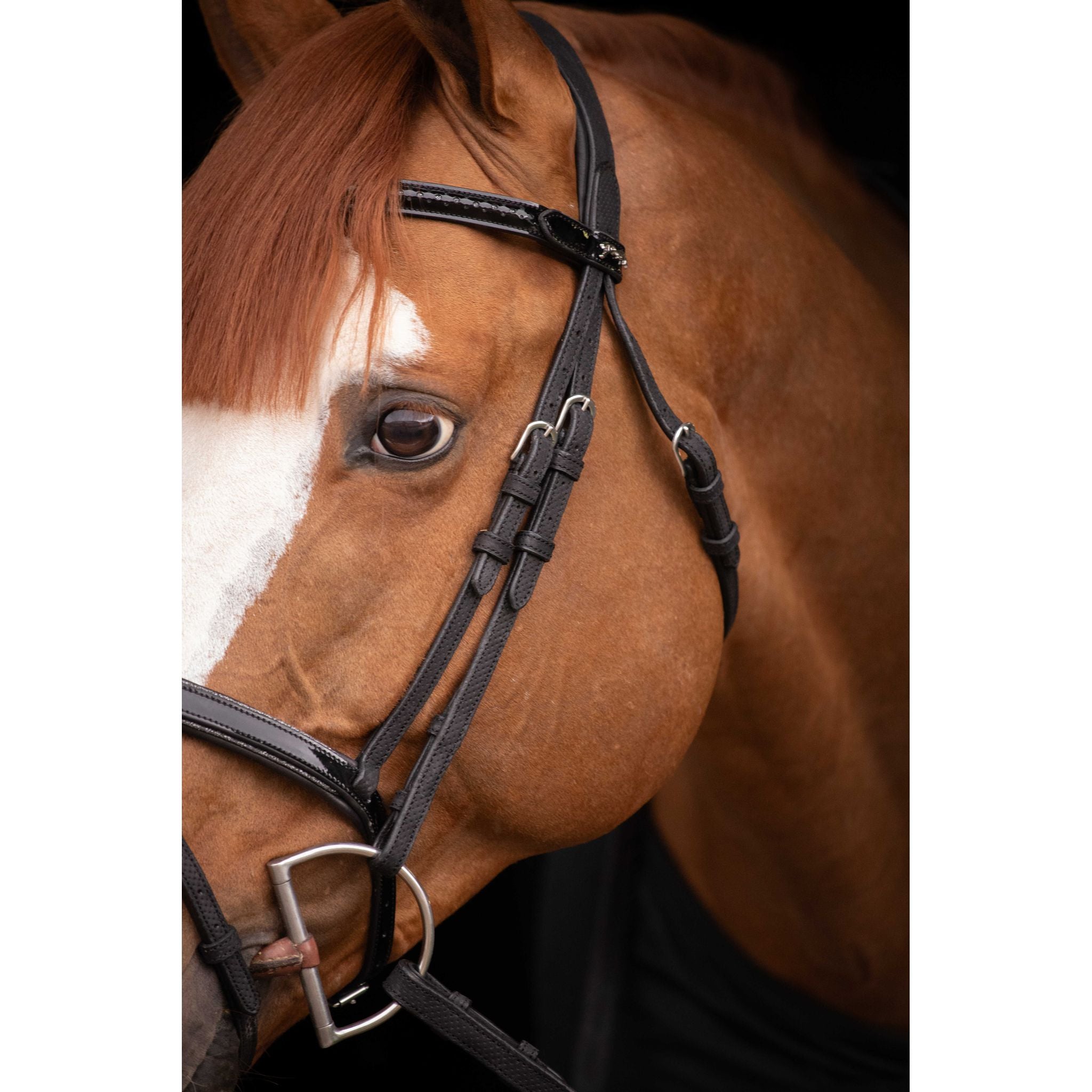 Penelope Oxford Bridle Black - 301608302_ambi_2