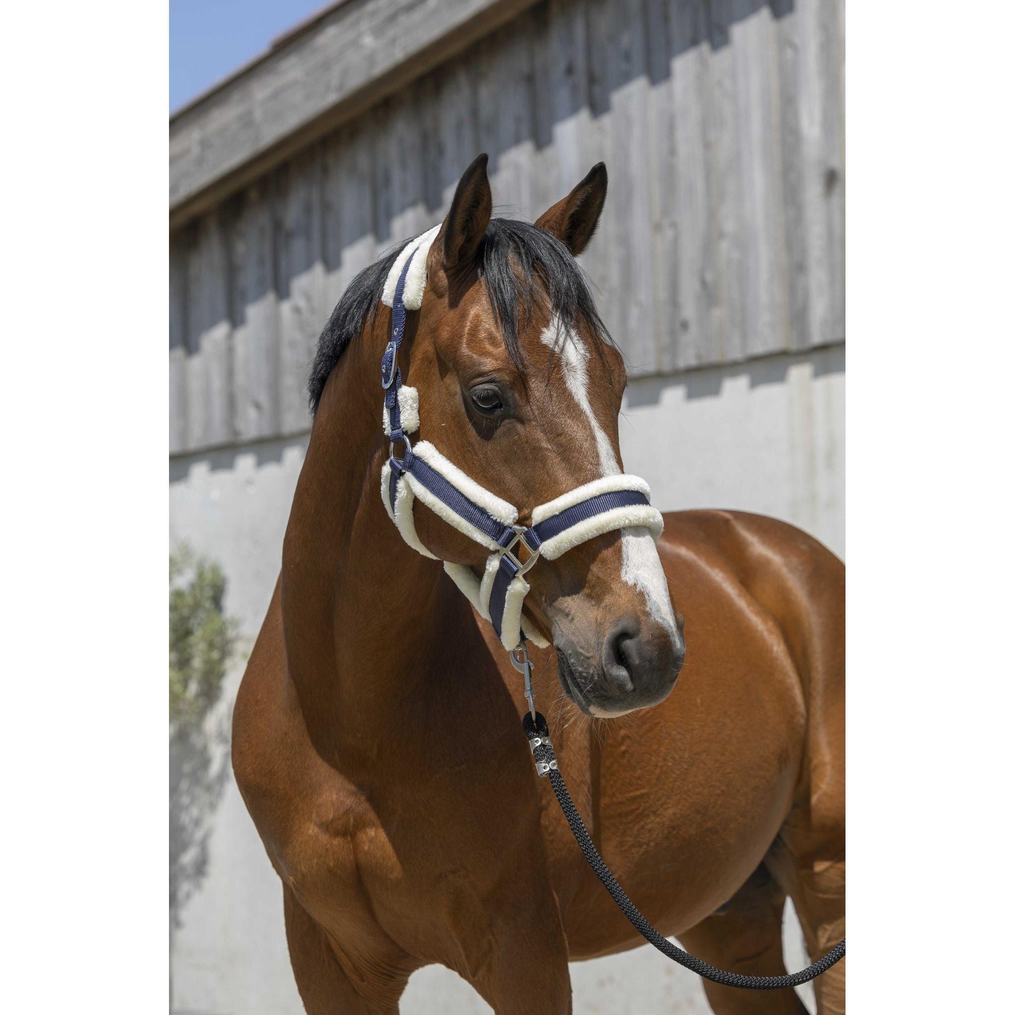 Norton Cosy Halter Navy blue 510243307