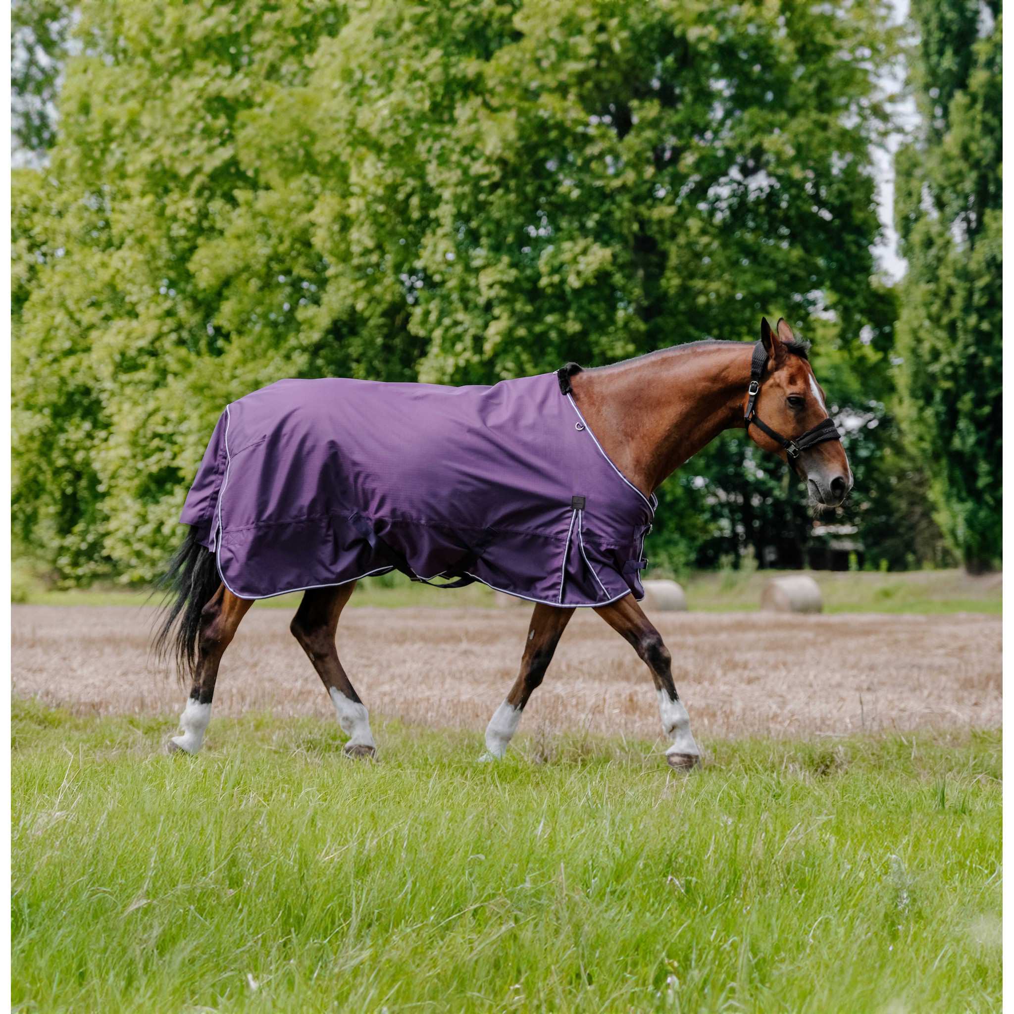 EQUITHÈME Tyrex 600D Aisance Turnout Rug - Standard Plum 400562163