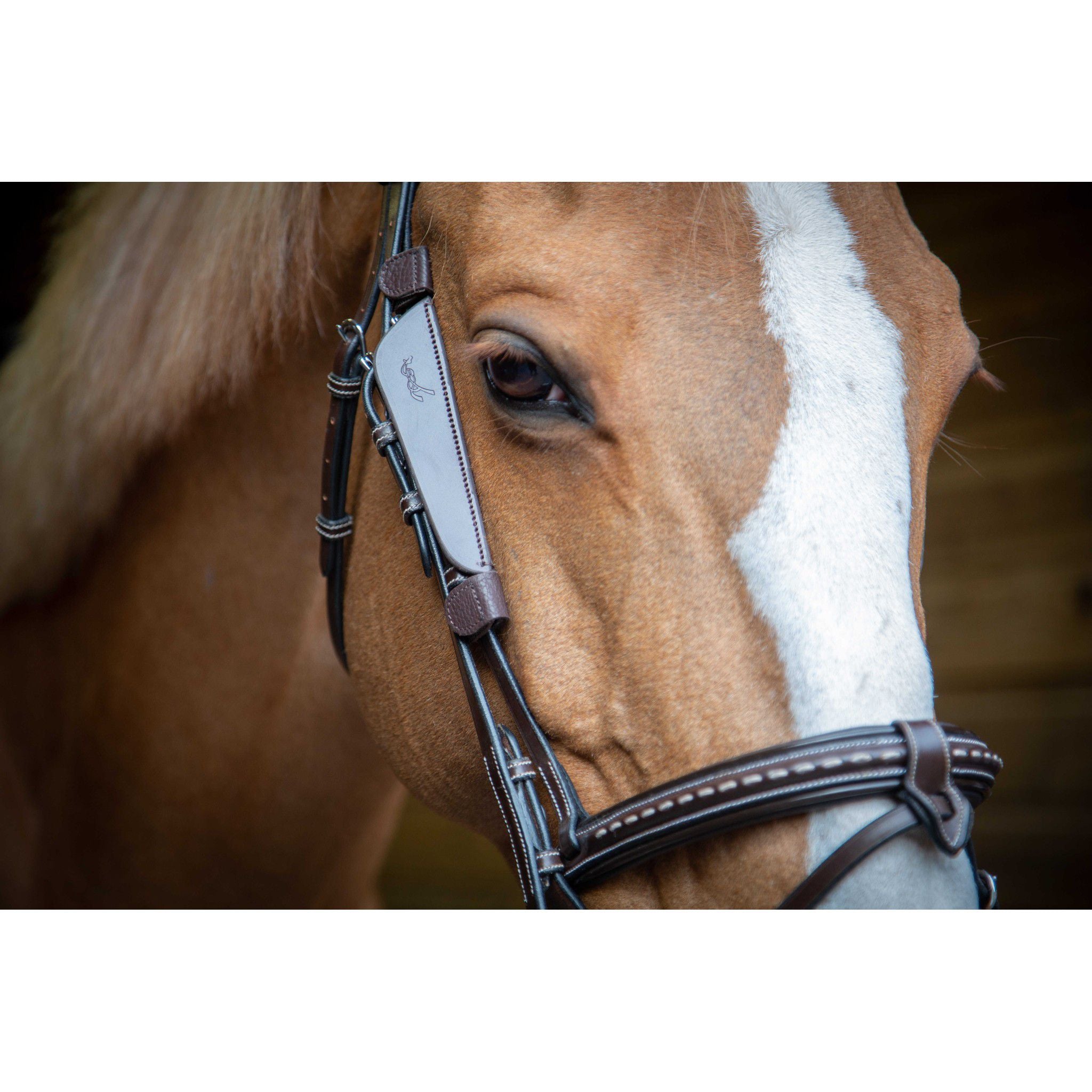 Pénélope Blinkers Havana 304399018