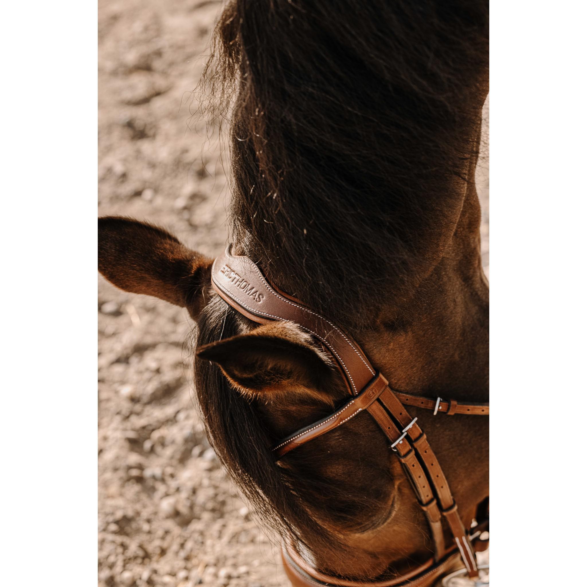 Éric Thomas Visby Bridle Havana 301907318