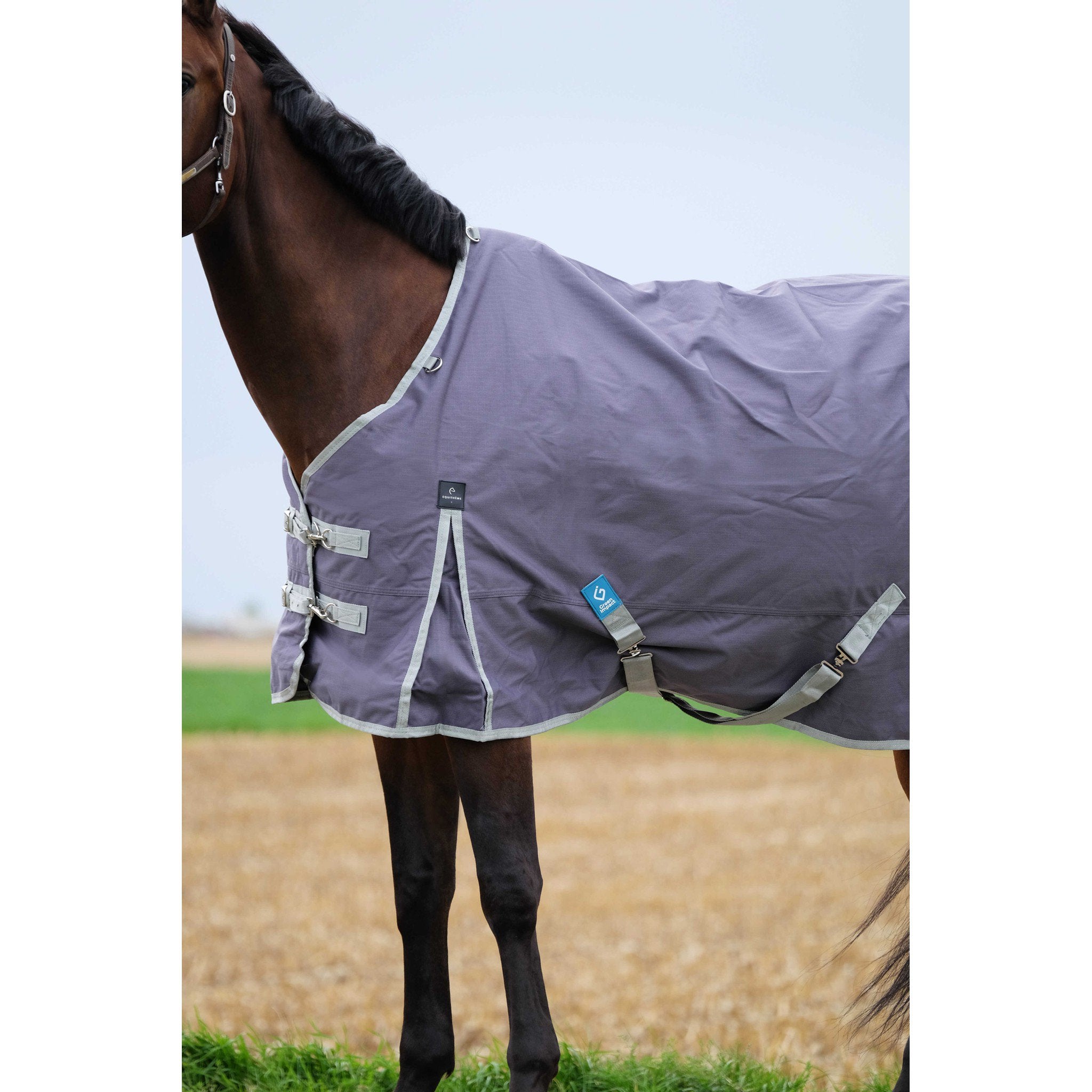 EQUITHÈME Tyrex 1200D Recycled turnout Rug - Standard Taupe 400757063