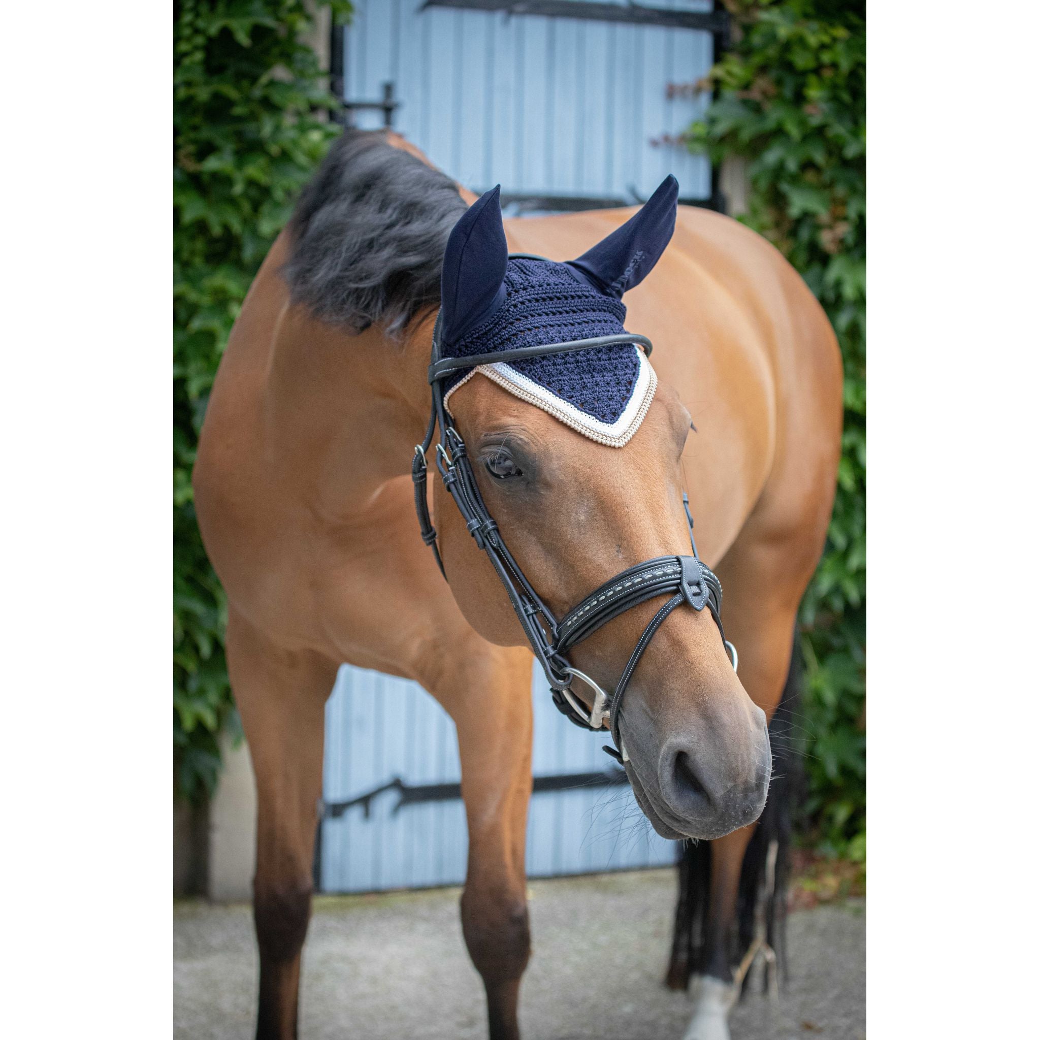 Paddock Sports Origine Fly Veil Navy blue - 306988007_ambi_2