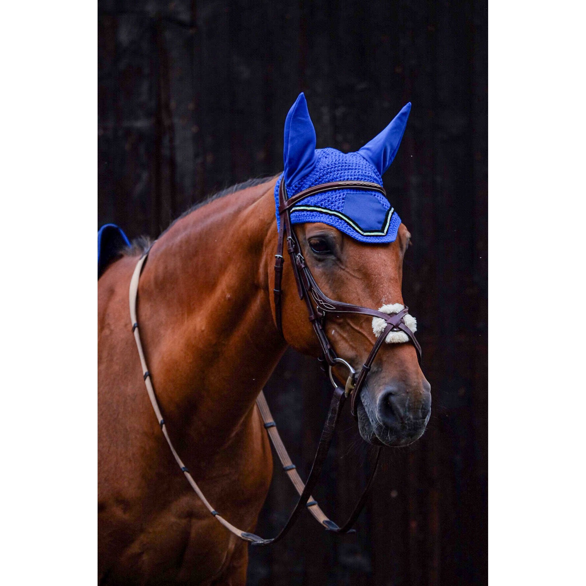 EQUITHÈME Domino Fly Veil Royal blue - 306975006_ambi_2