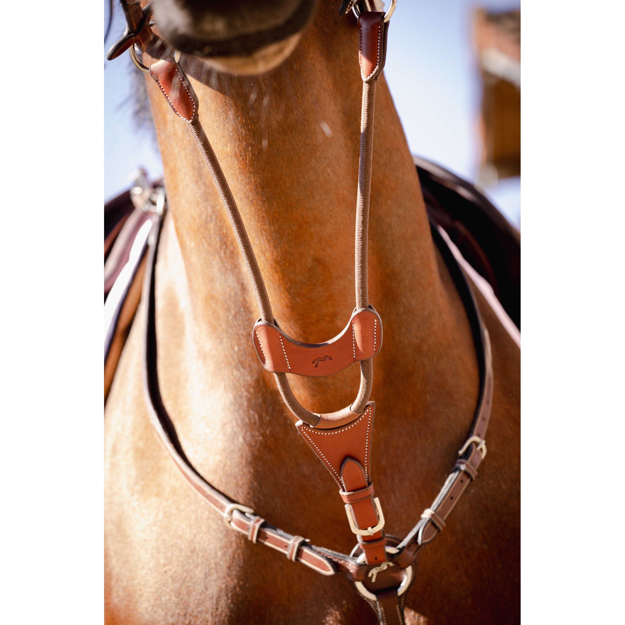 Pénélope Bip Light US Martingale Attachment Chestnut 306151004