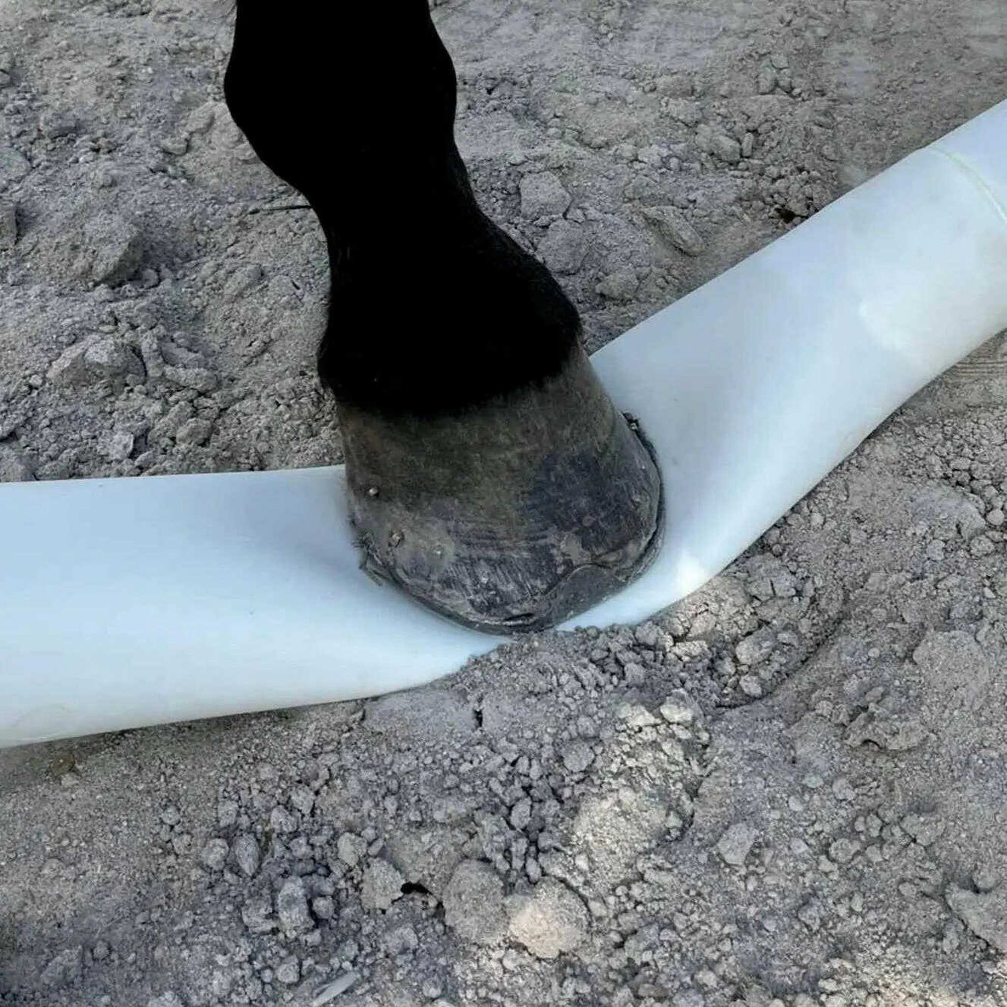 Hippo-Tonic Flexible Modular Ground Pole White - 704621001_ambi_1