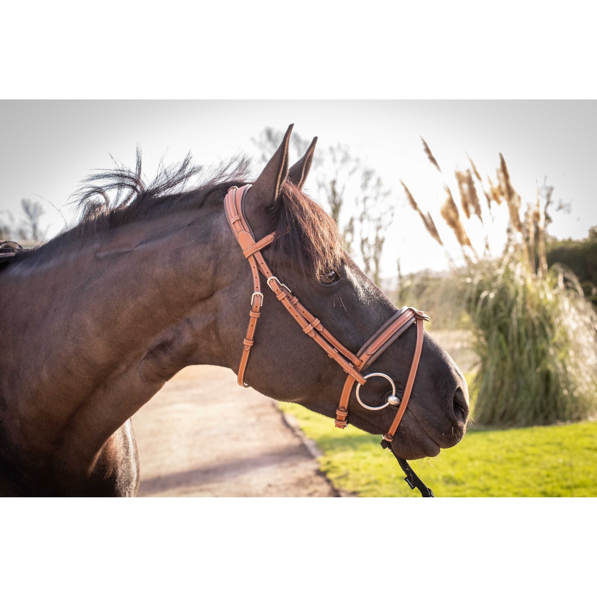 Penelope Elegance Bridle Cognac - 301605314_ambi_3