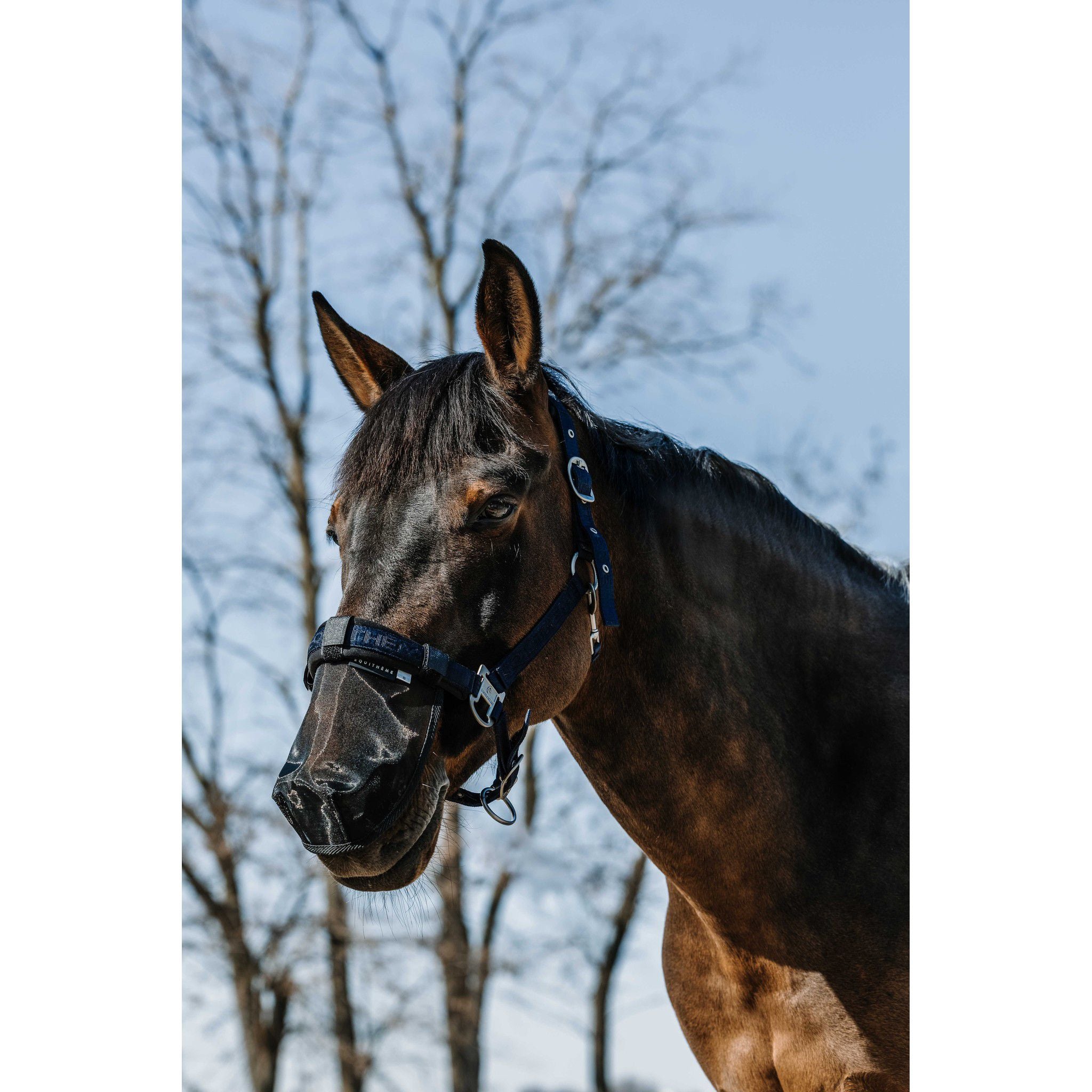 EQUITHÈME UV Nose Protection Black 306036203