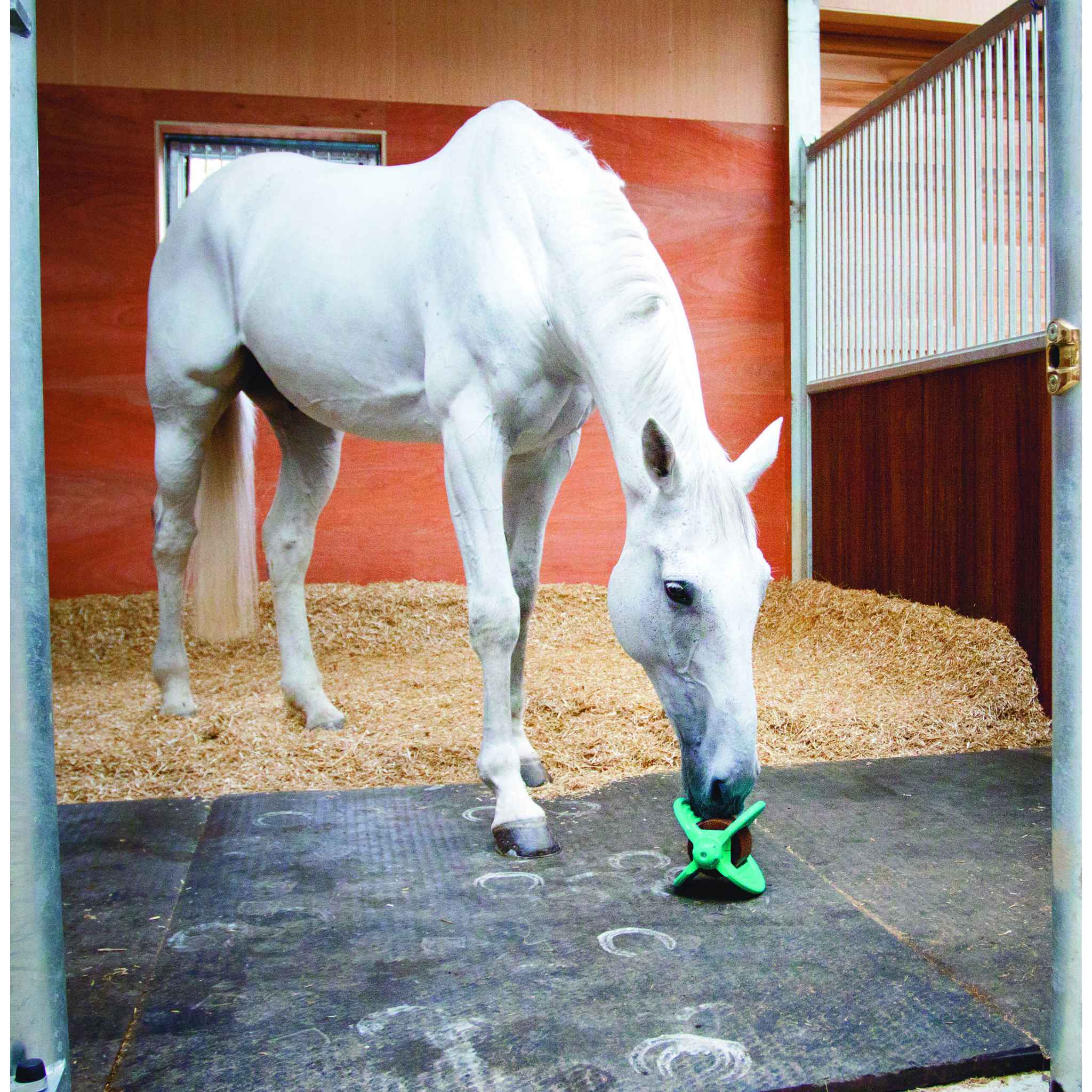 Bizzy Ball Holder Blue - 380080013_ambi_2