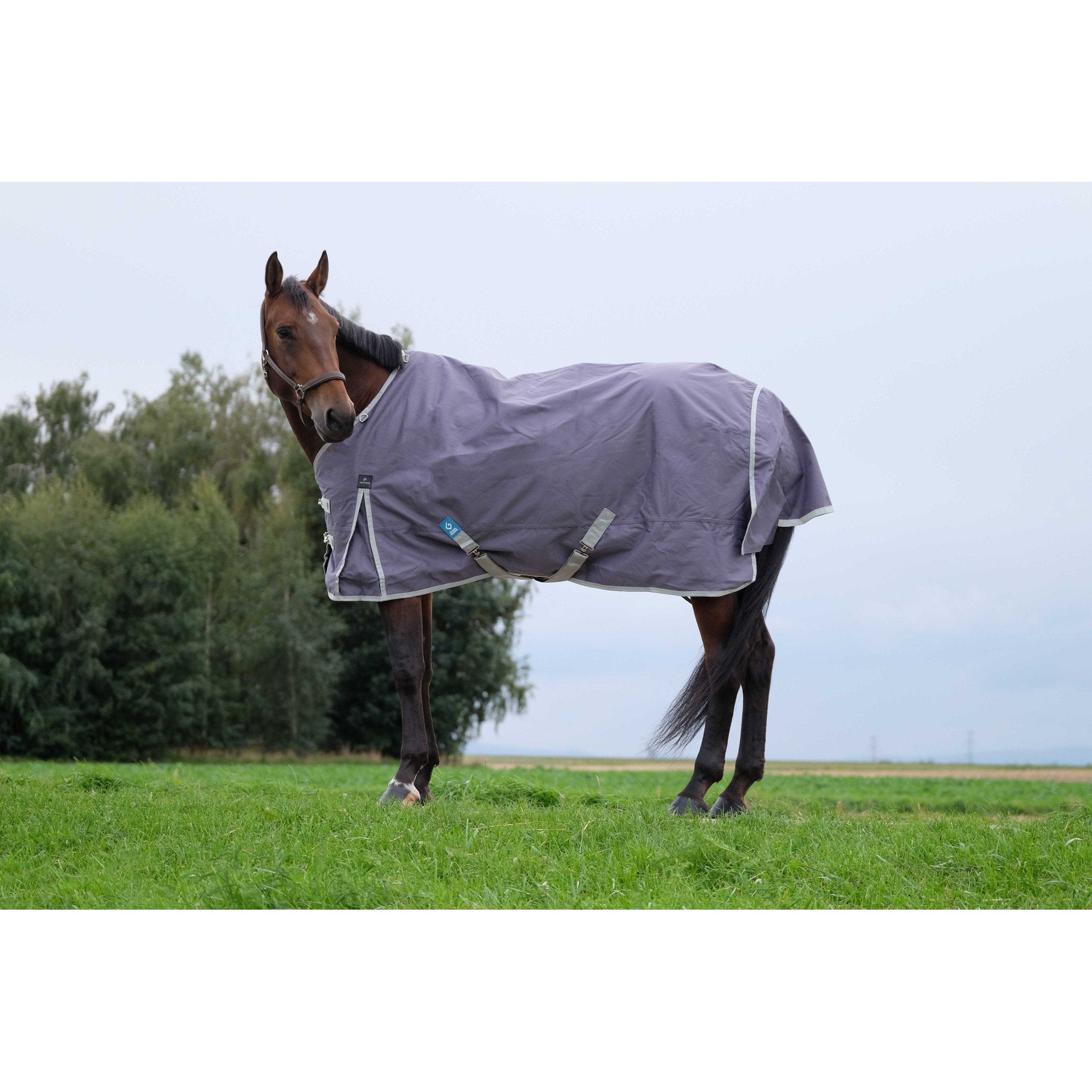 EQUITHÈME Tyrex 1200D Recycled turnout Rug - Standard Taupe 400757063