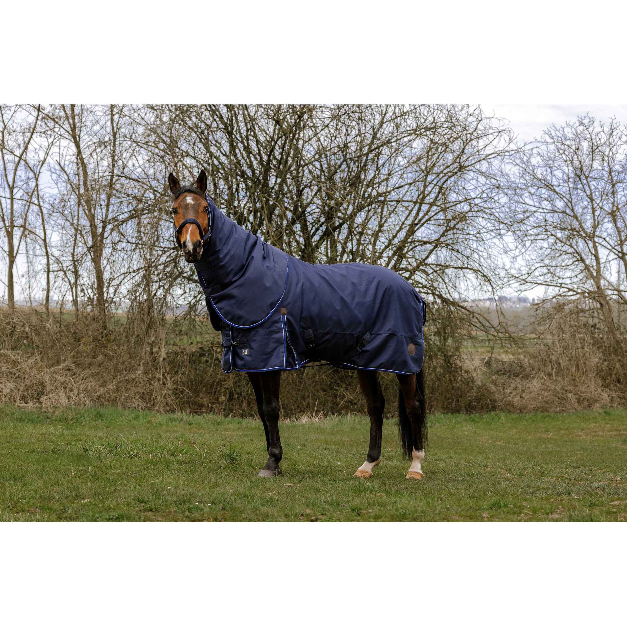 EQUITHÈME Classic 3 Layers Rug Navy blue 400587763
