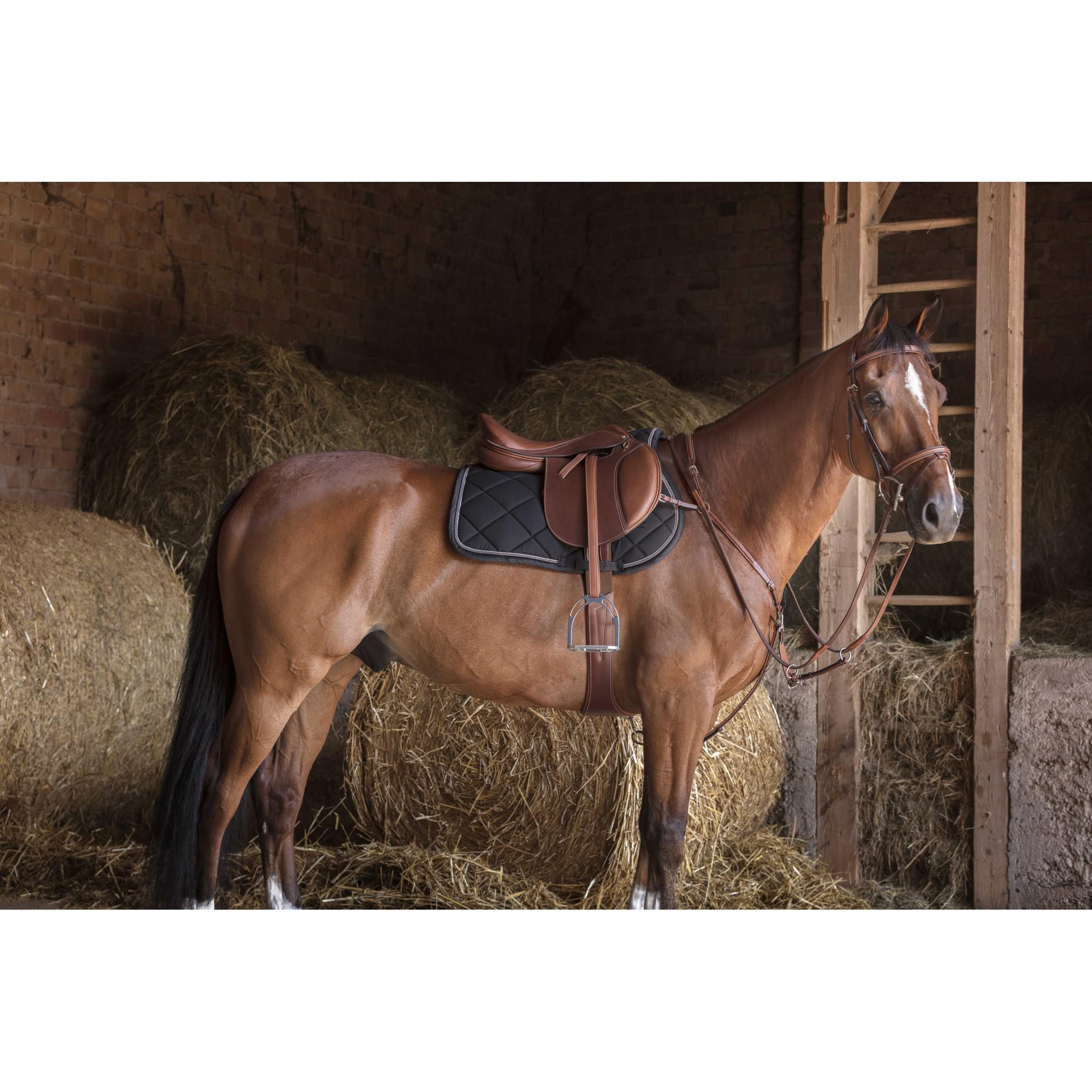 Eric Thomas Fitter Stirrup leathers Chestnut 202058537