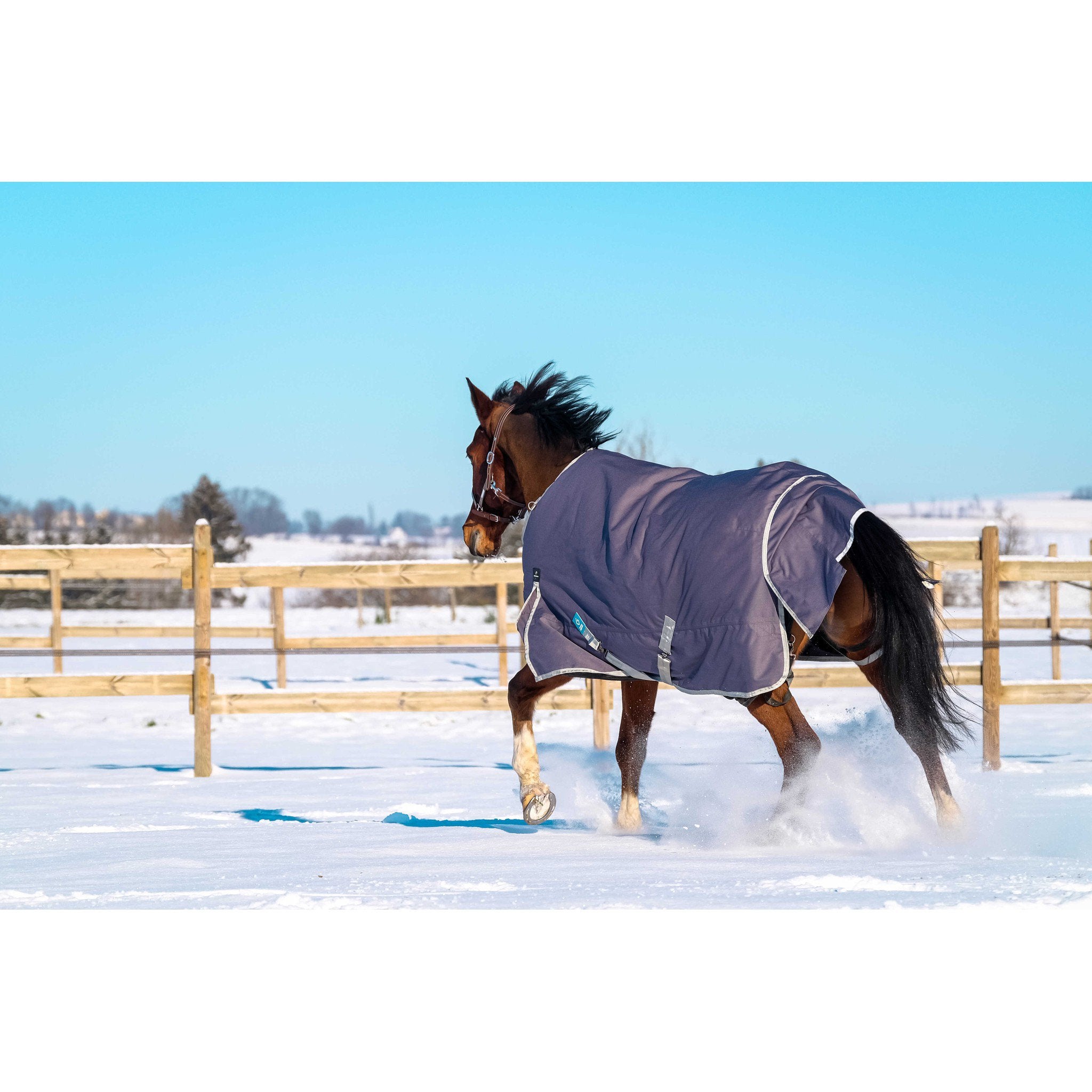 EQUITHÈME Tyrex 1200D Recycled turnout Rug - Standard Taupe 400759063