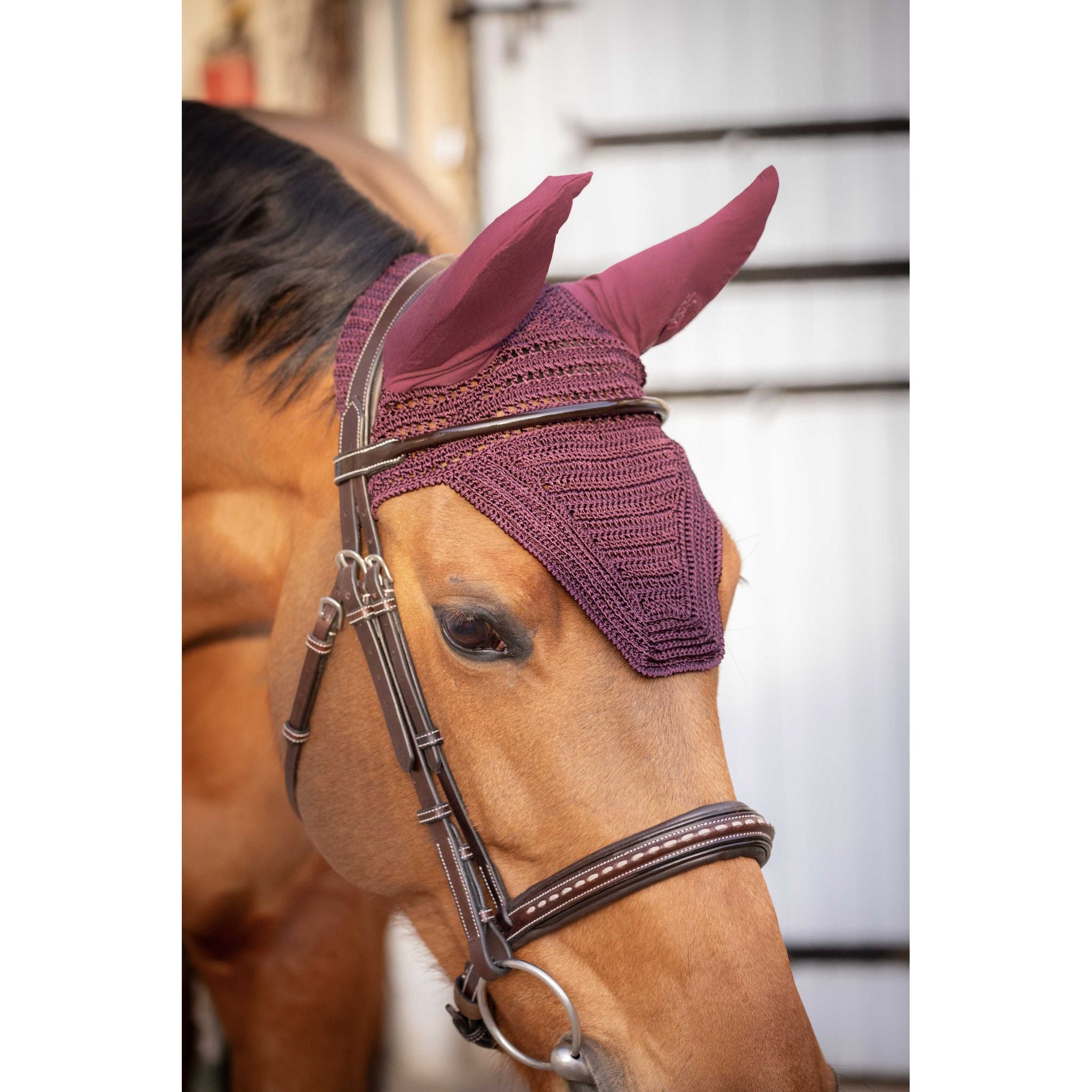 Paddock Sports Prem's Fly Veil Plum - 306969334_ambi_2