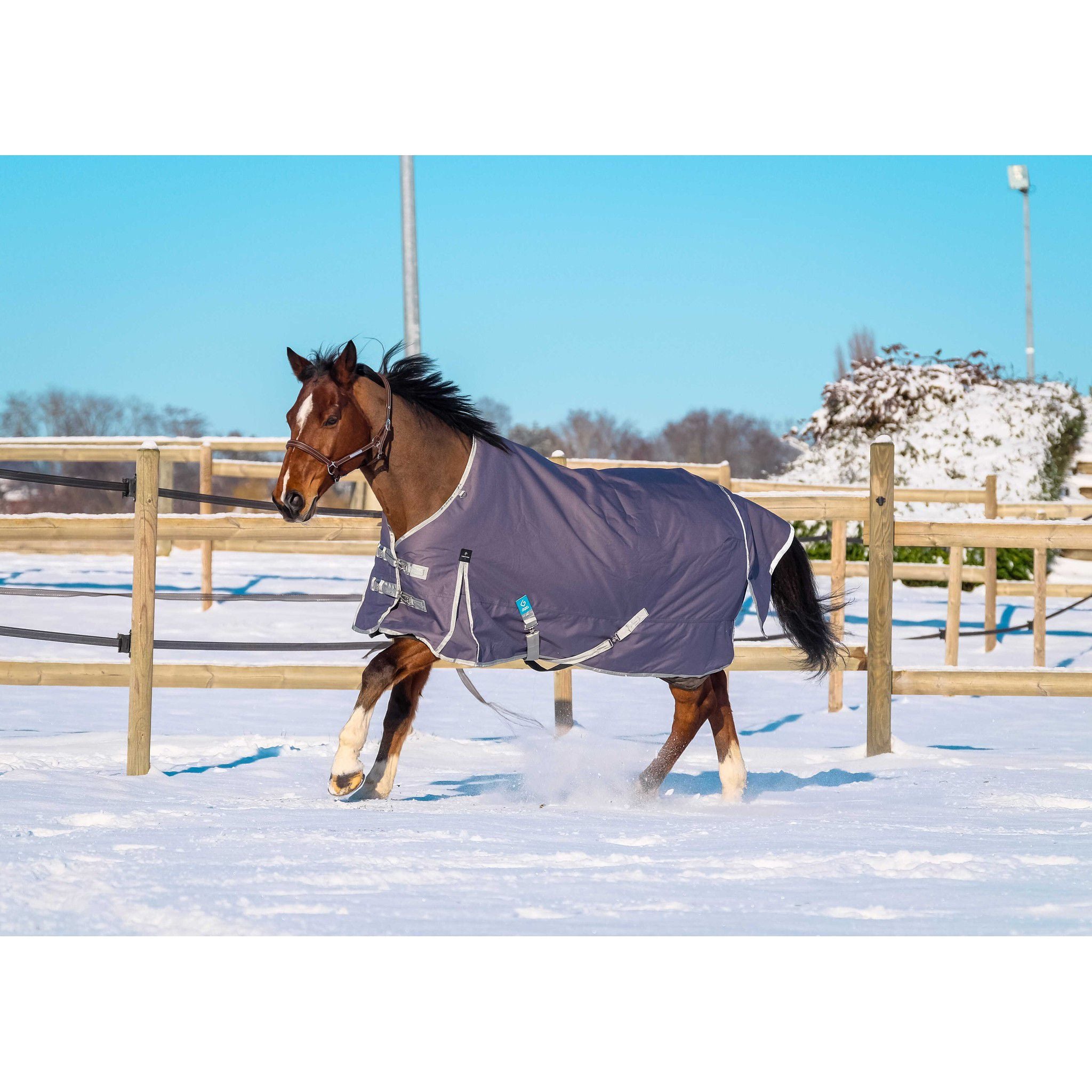 EQUITHÈME Tyrex 1200D Recycled turnout Rug - Standard Taupe 400759063