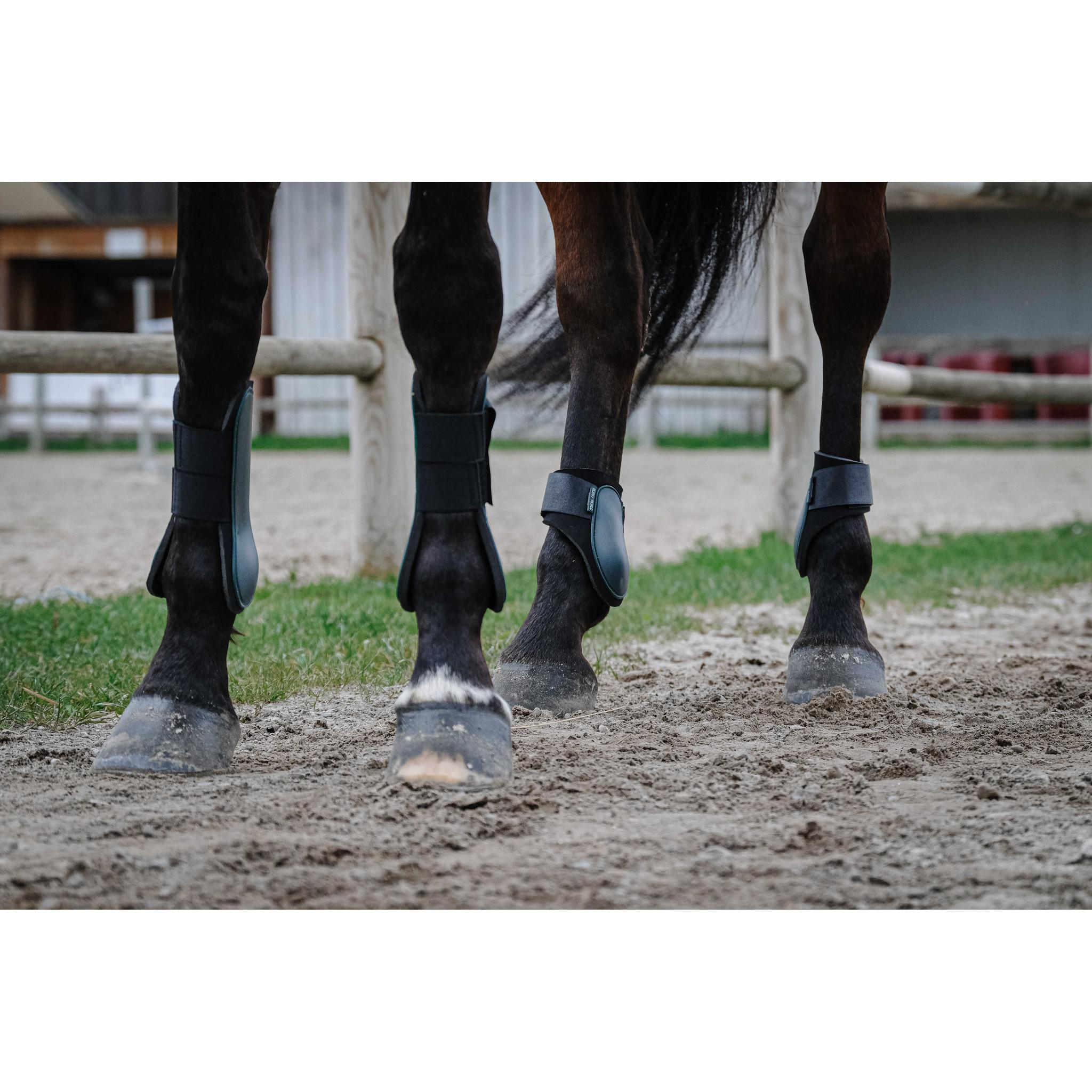 Riding World Tendon Boots Dark green 530109009