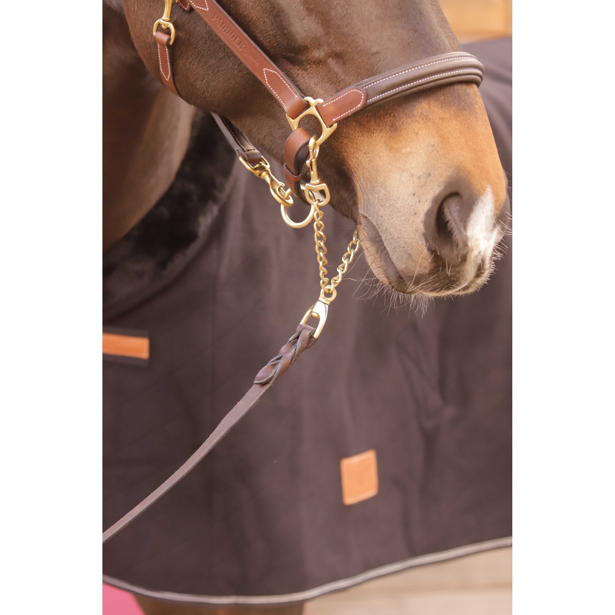 PADDOCK 2.25m Presentation Lead Havana - 520034018_ambi_1