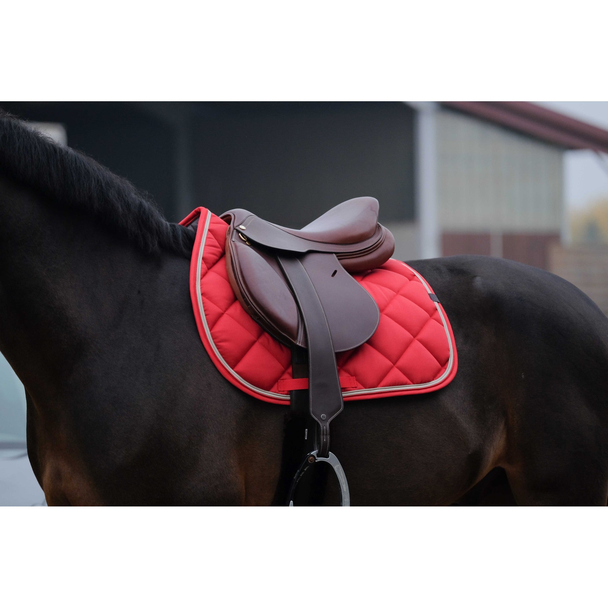 EQUITHÈME Classic Saddle pad - All purpose Red 204773003