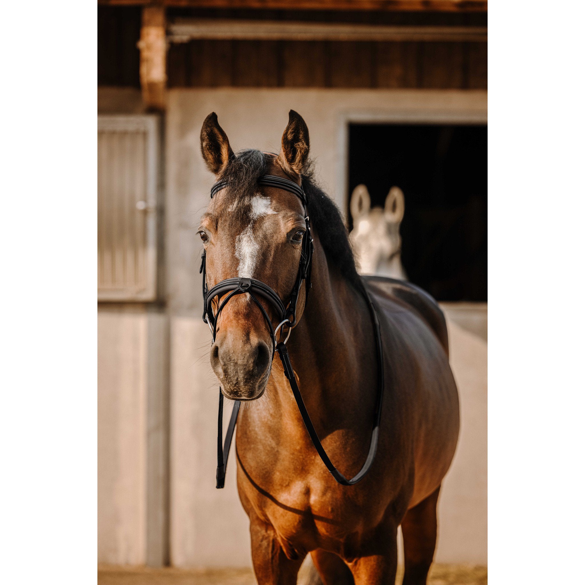 Éric Thomas Work Bridle Black 301906302