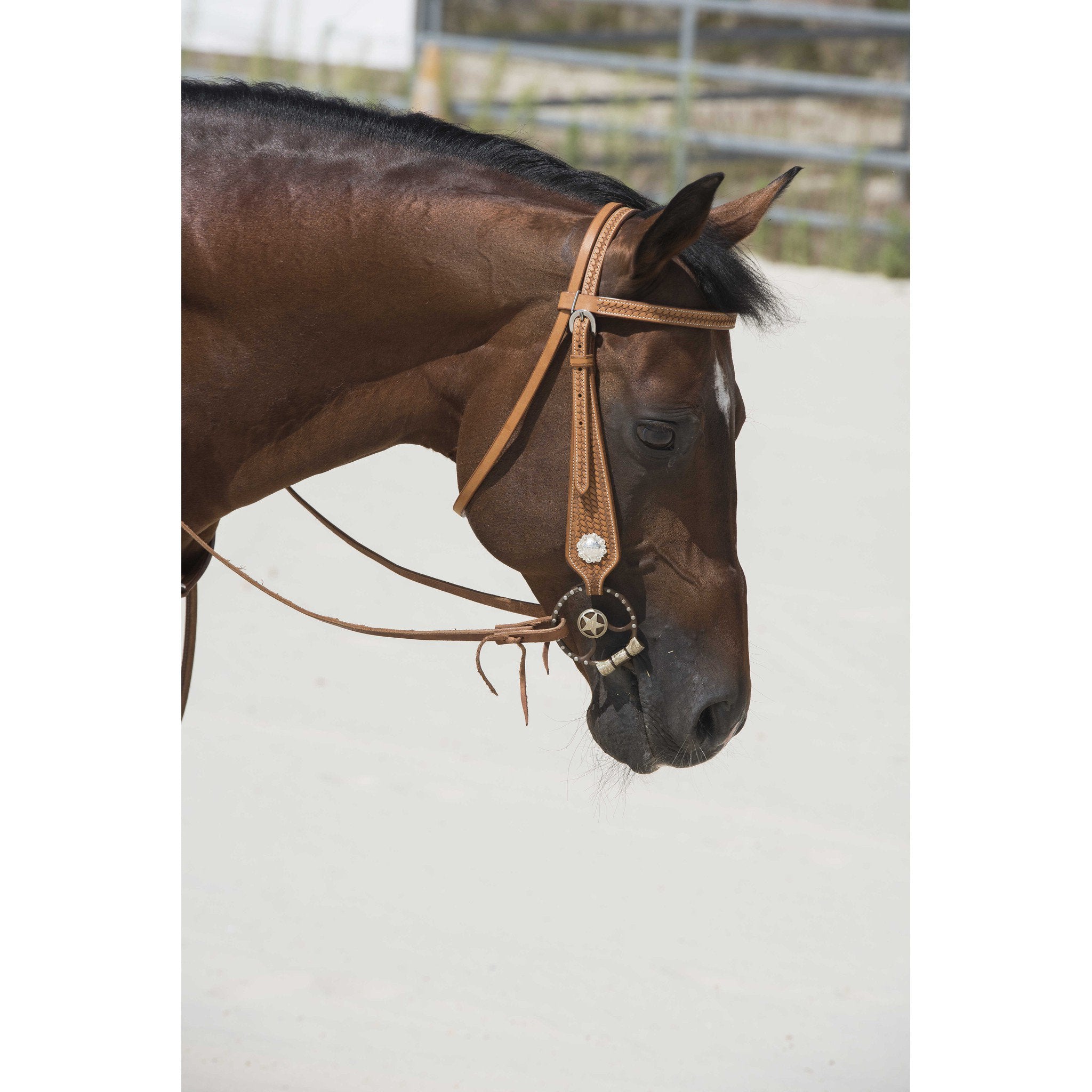 Westride Aurora Bridle by Franck Perret Chestnut 802063317