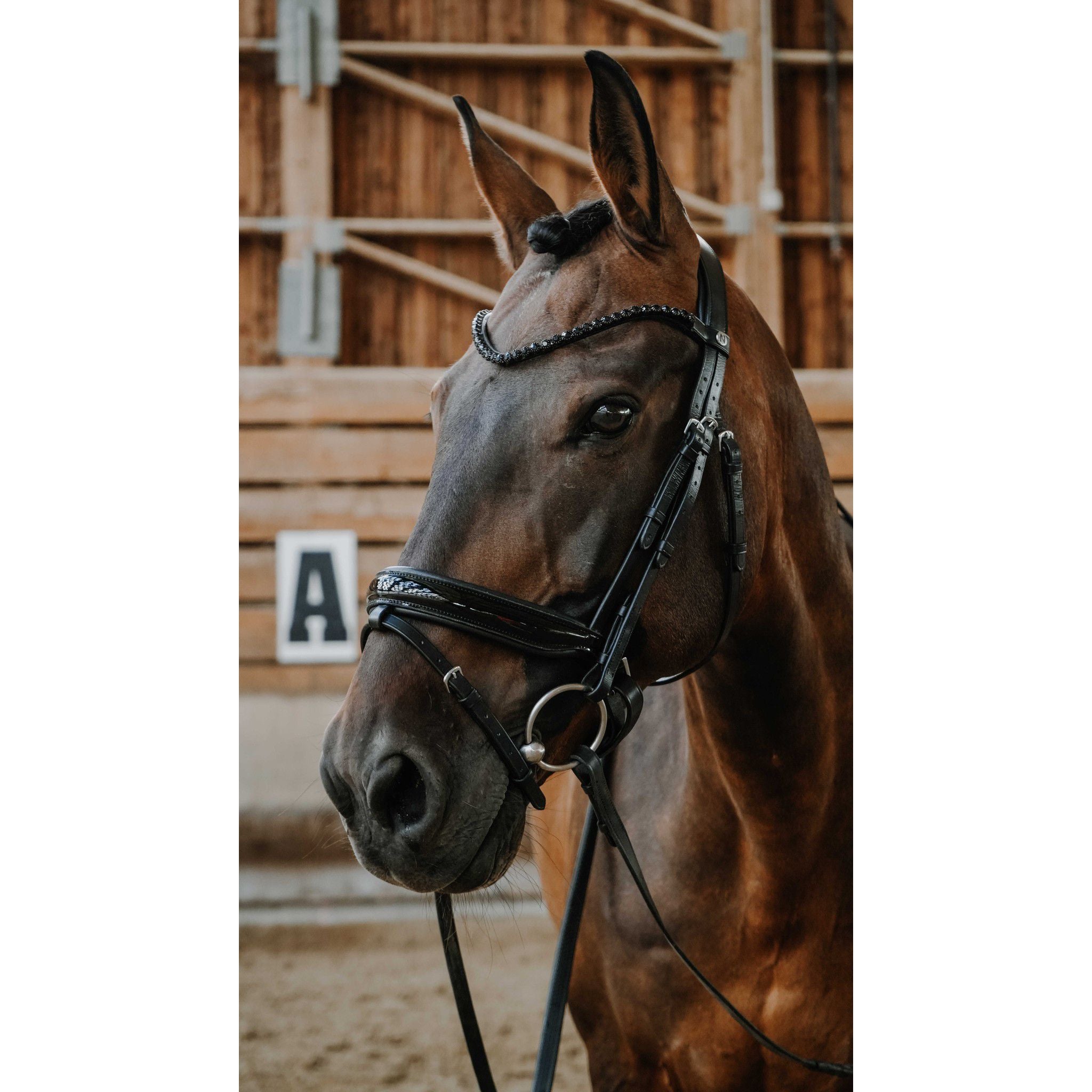 Norton Pro Royal Bridle Black 301842302